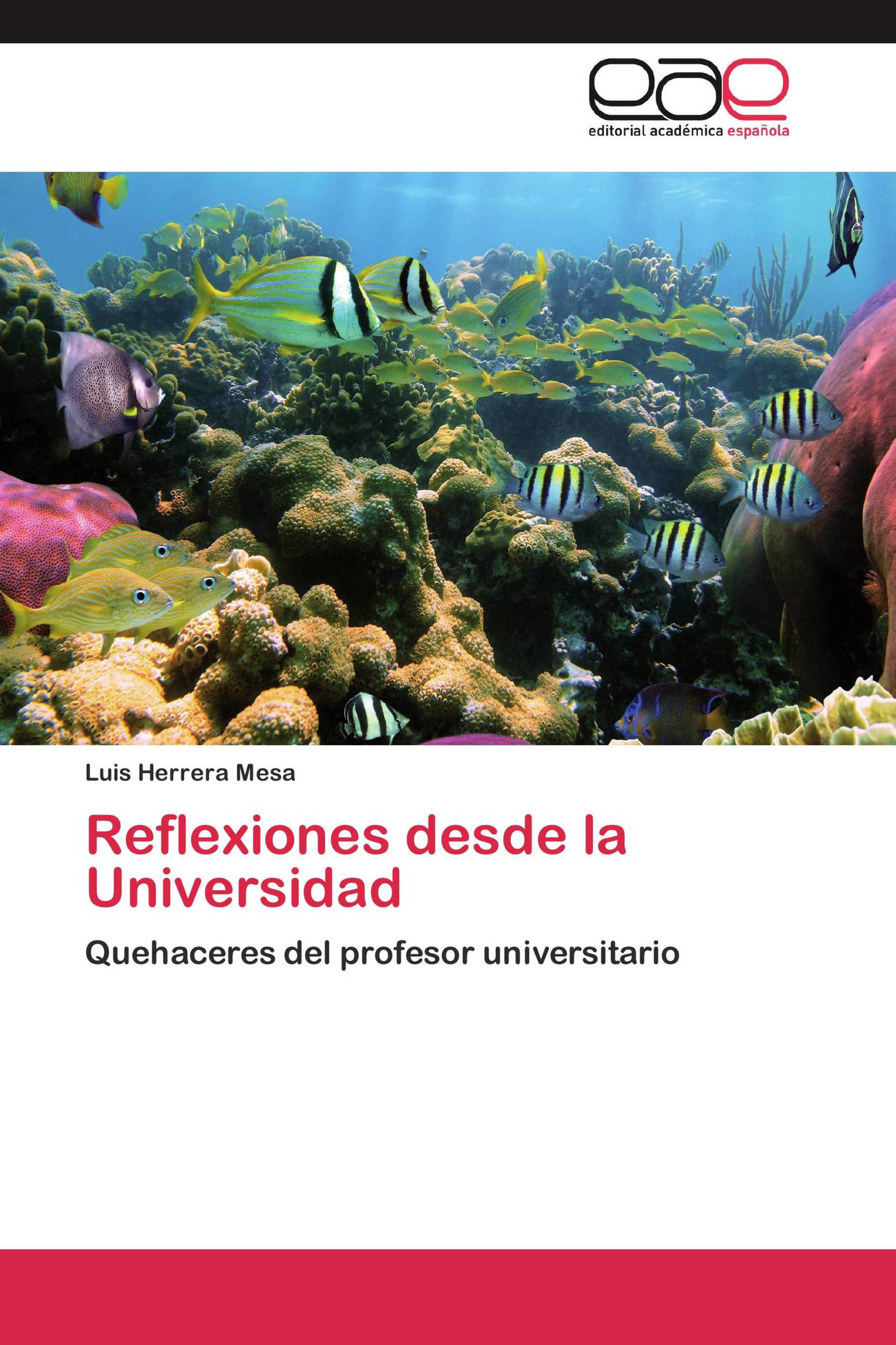 Reflexiones desde la Universidad