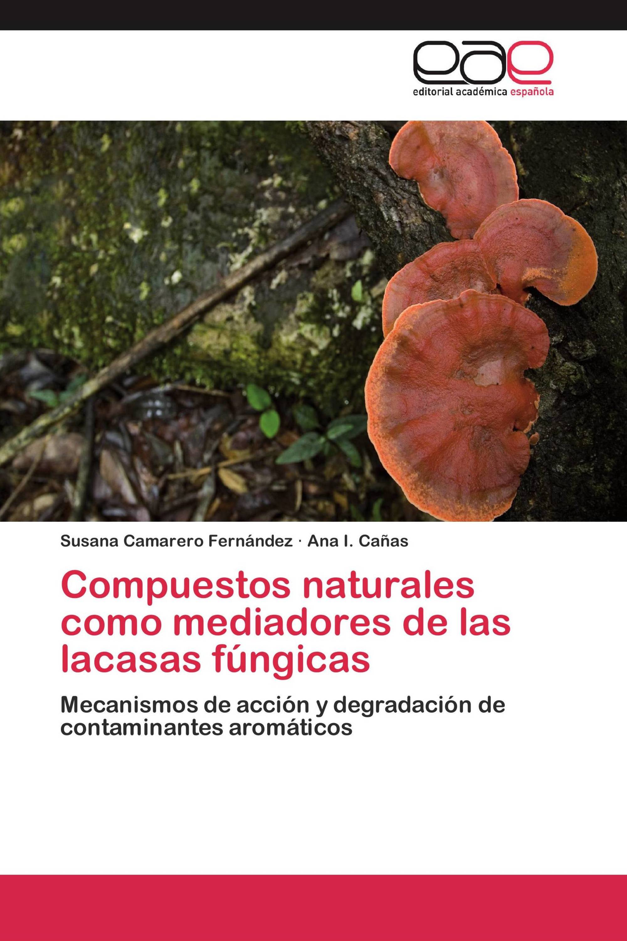 Compuestos naturales como mediadores de las lacasas fúngicas