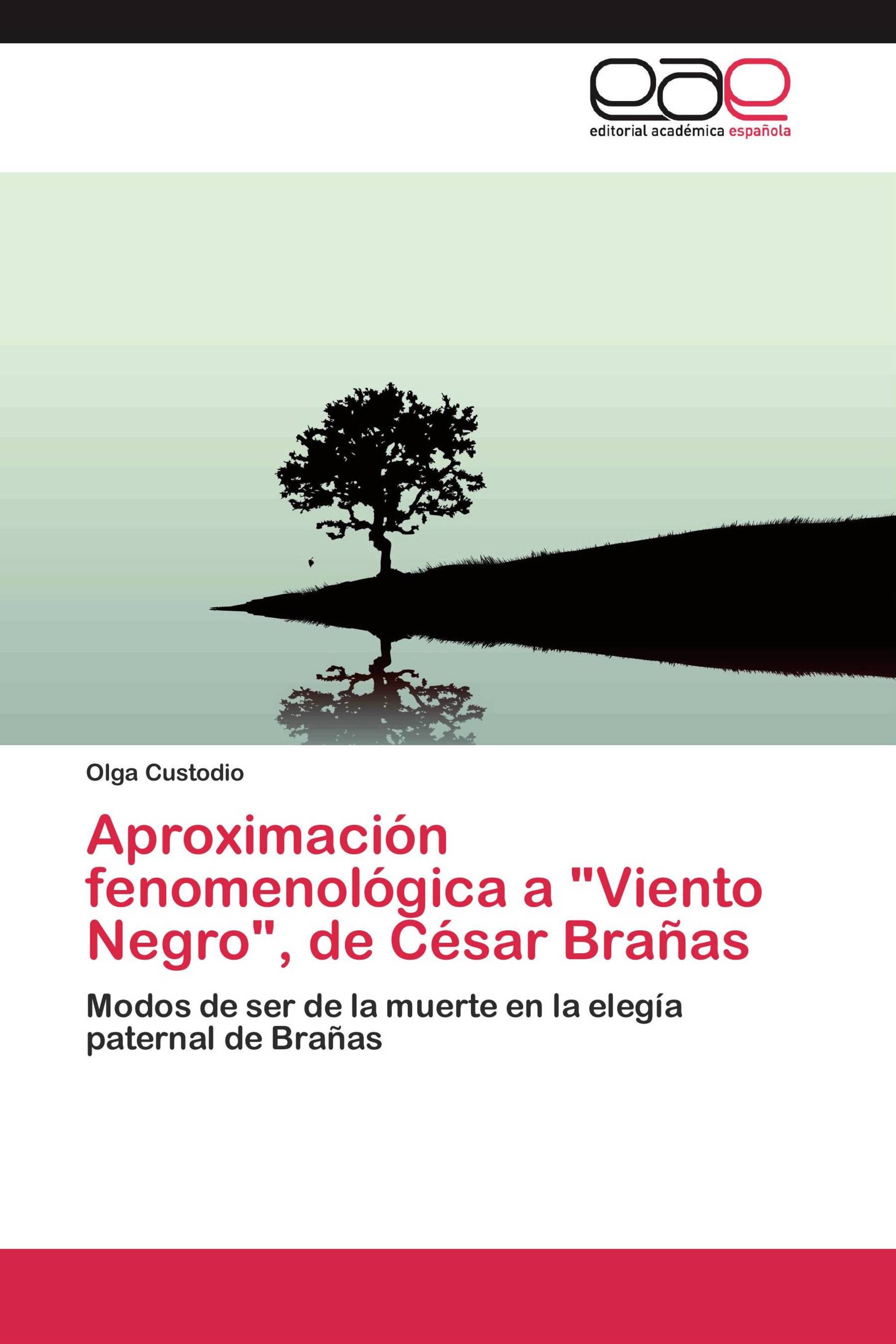 Aproximación fenomenológica a "Viento Negro", de César Brañas