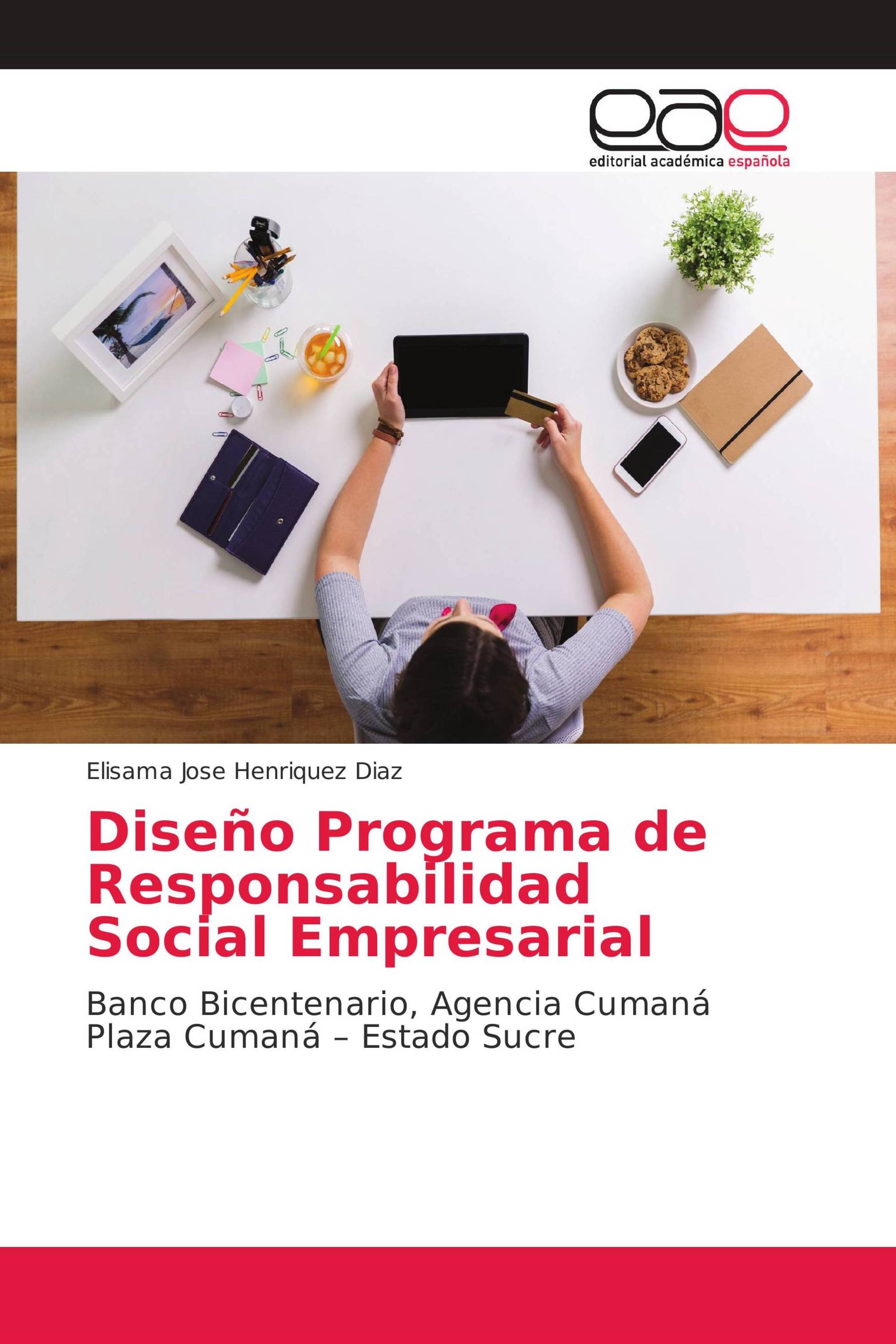 Diseño Programa de Responsabilidad Social Empresarial