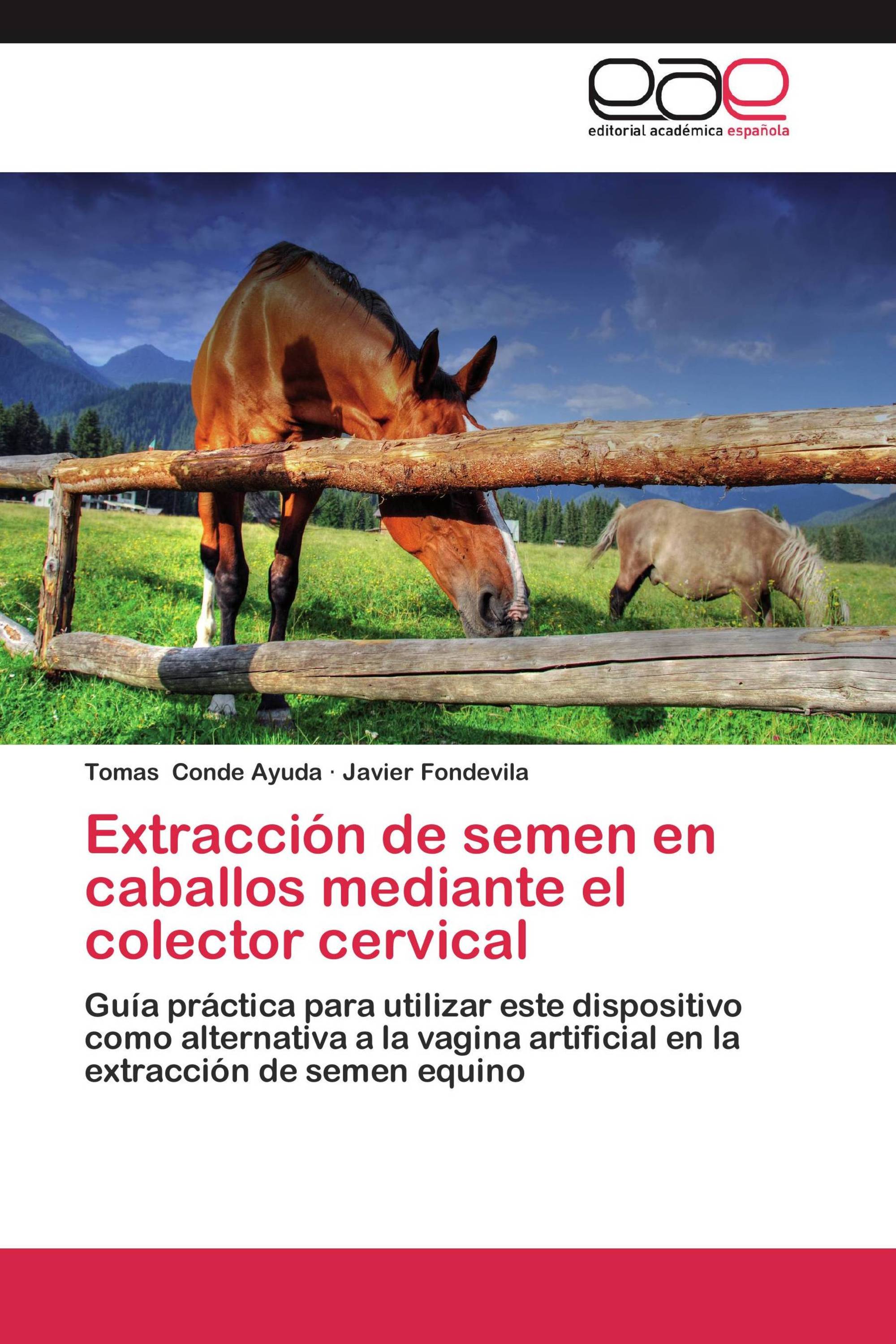 Extracción de semen en caballos mediante el colector cervical