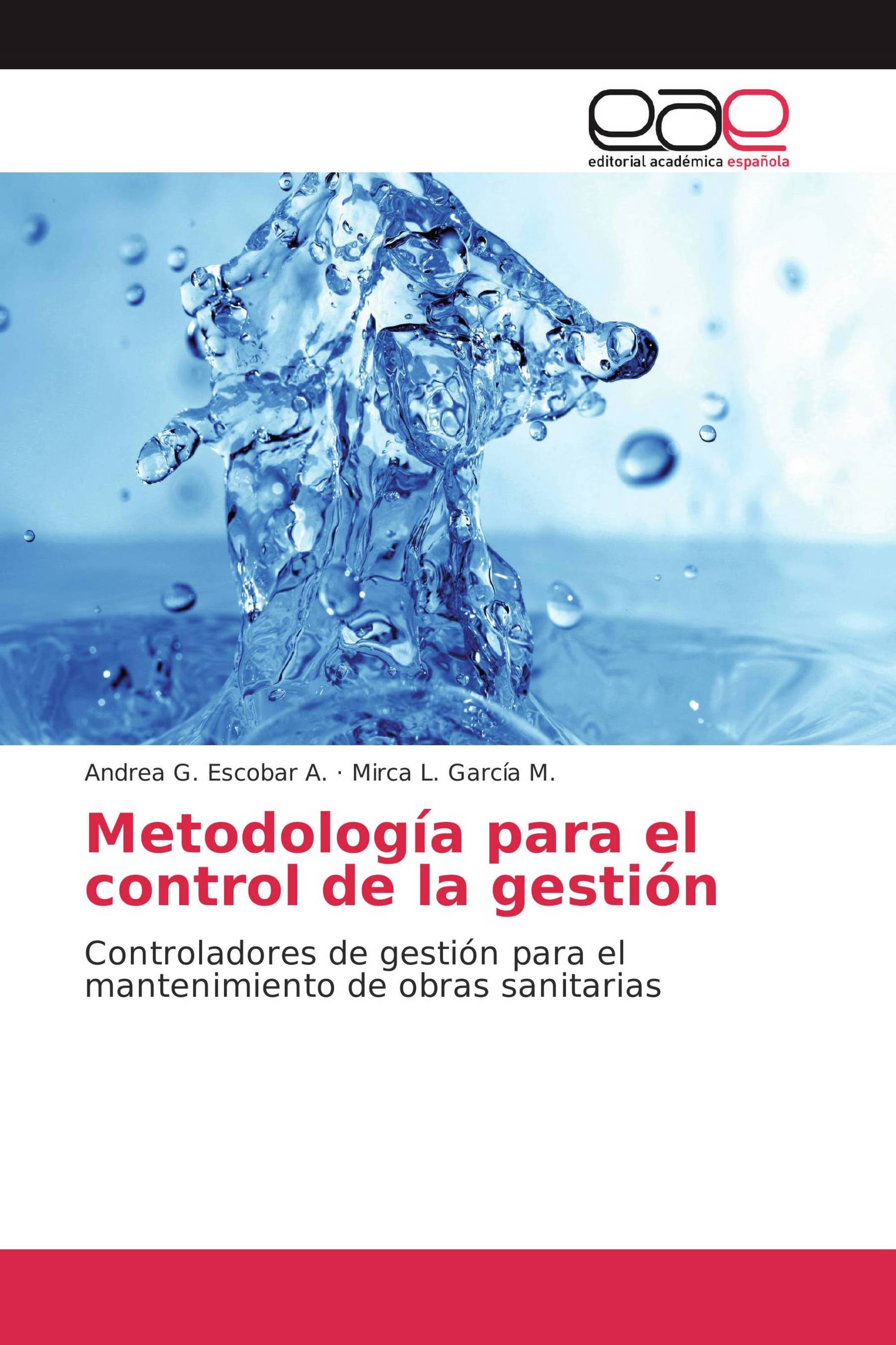 Metodología para el control de la gestión