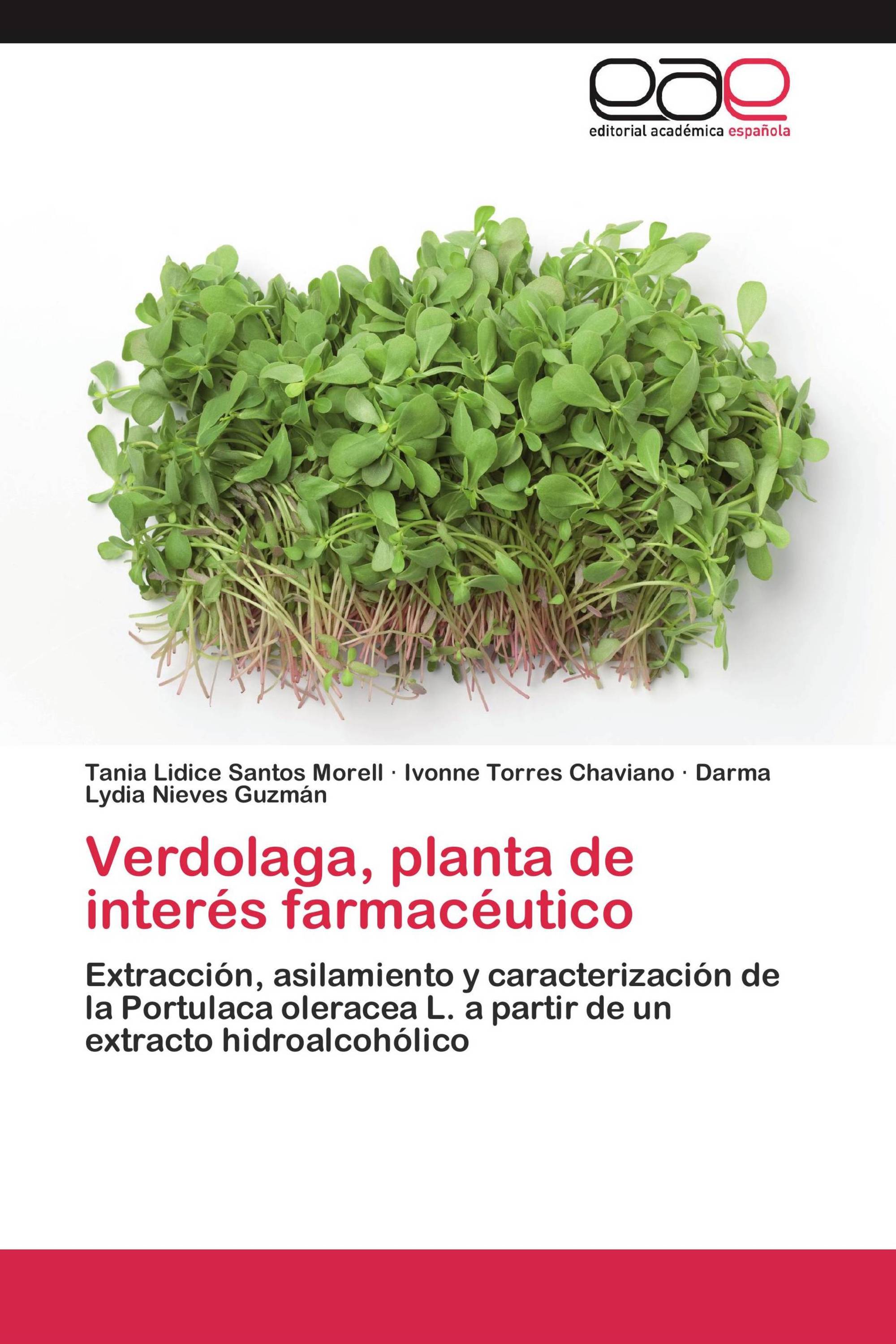 Verdolaga, planta de interés farmacéutico