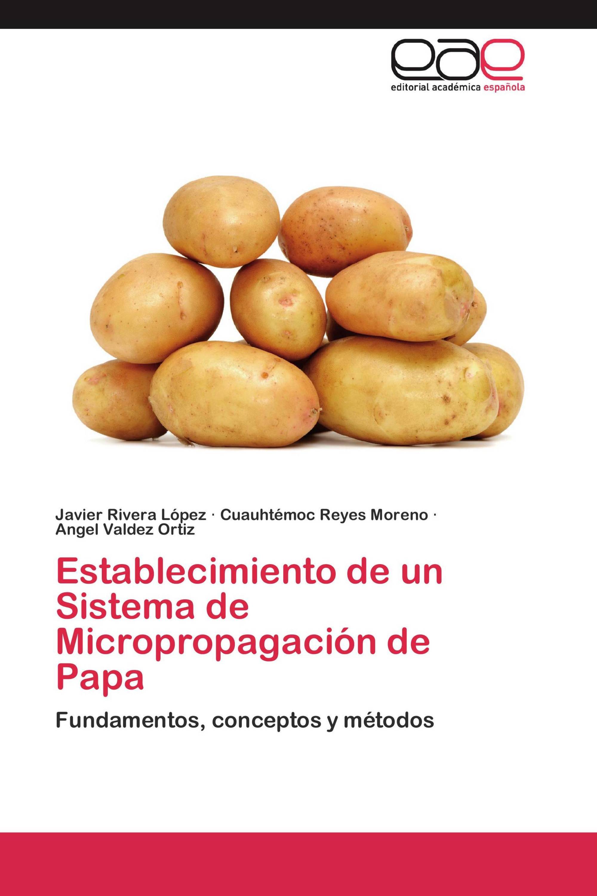 Establecimiento de un Sistema de Micropropagación de Papa