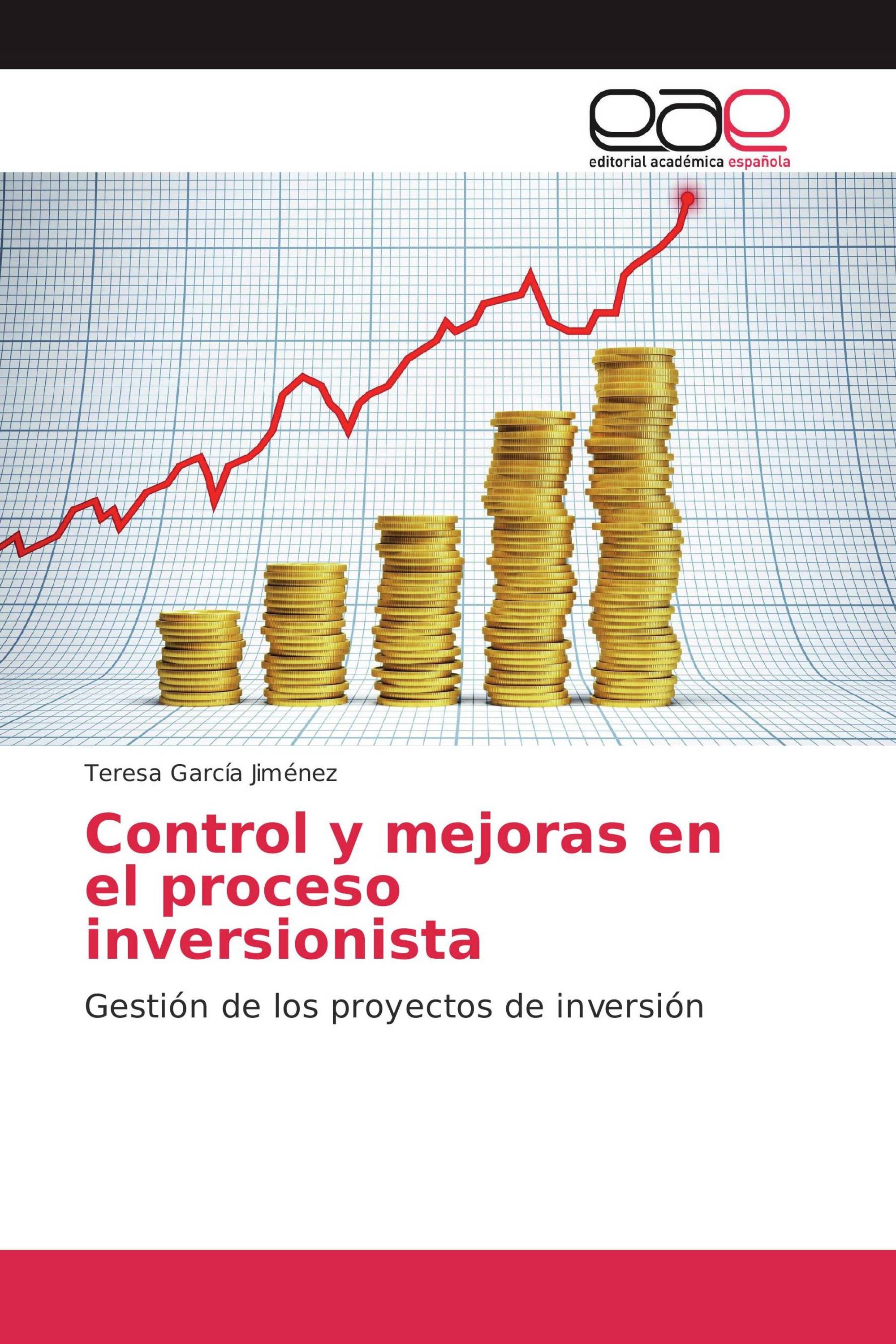 Control y mejoras en el proceso inversionista