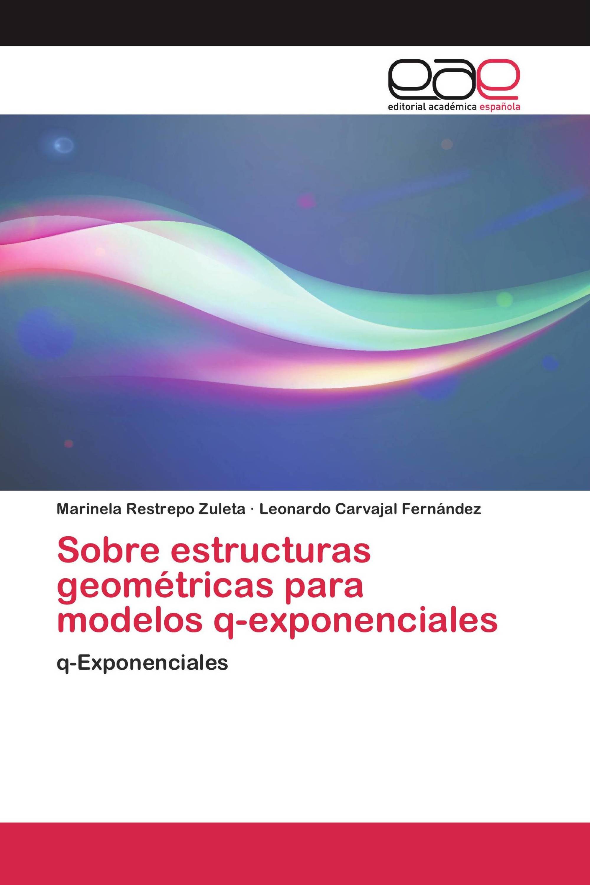 Sobre estructuras geométricas para modelos q-exponenciales