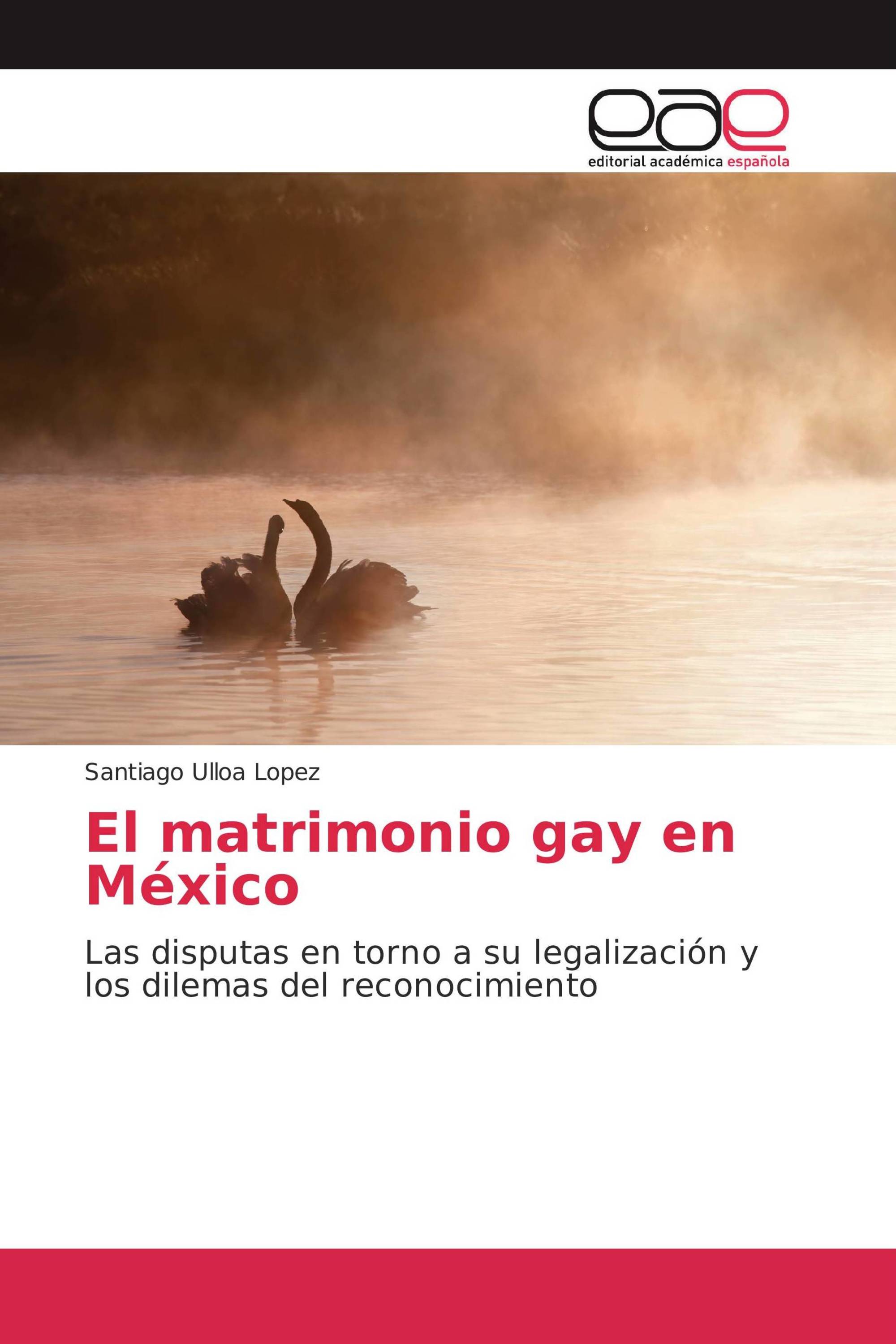 El matrimonio gay en México