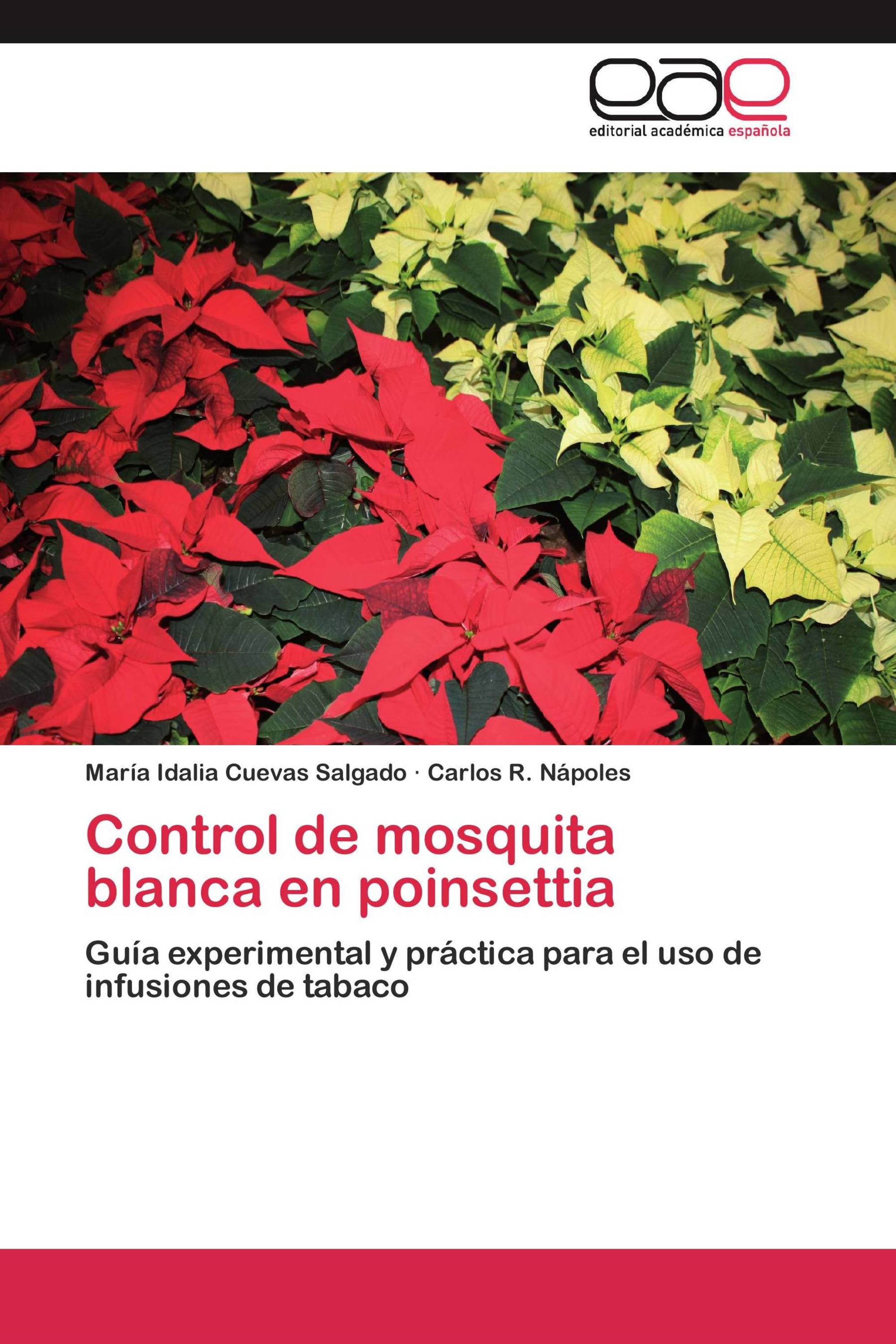 Control de mosquita blanca en poinsettia