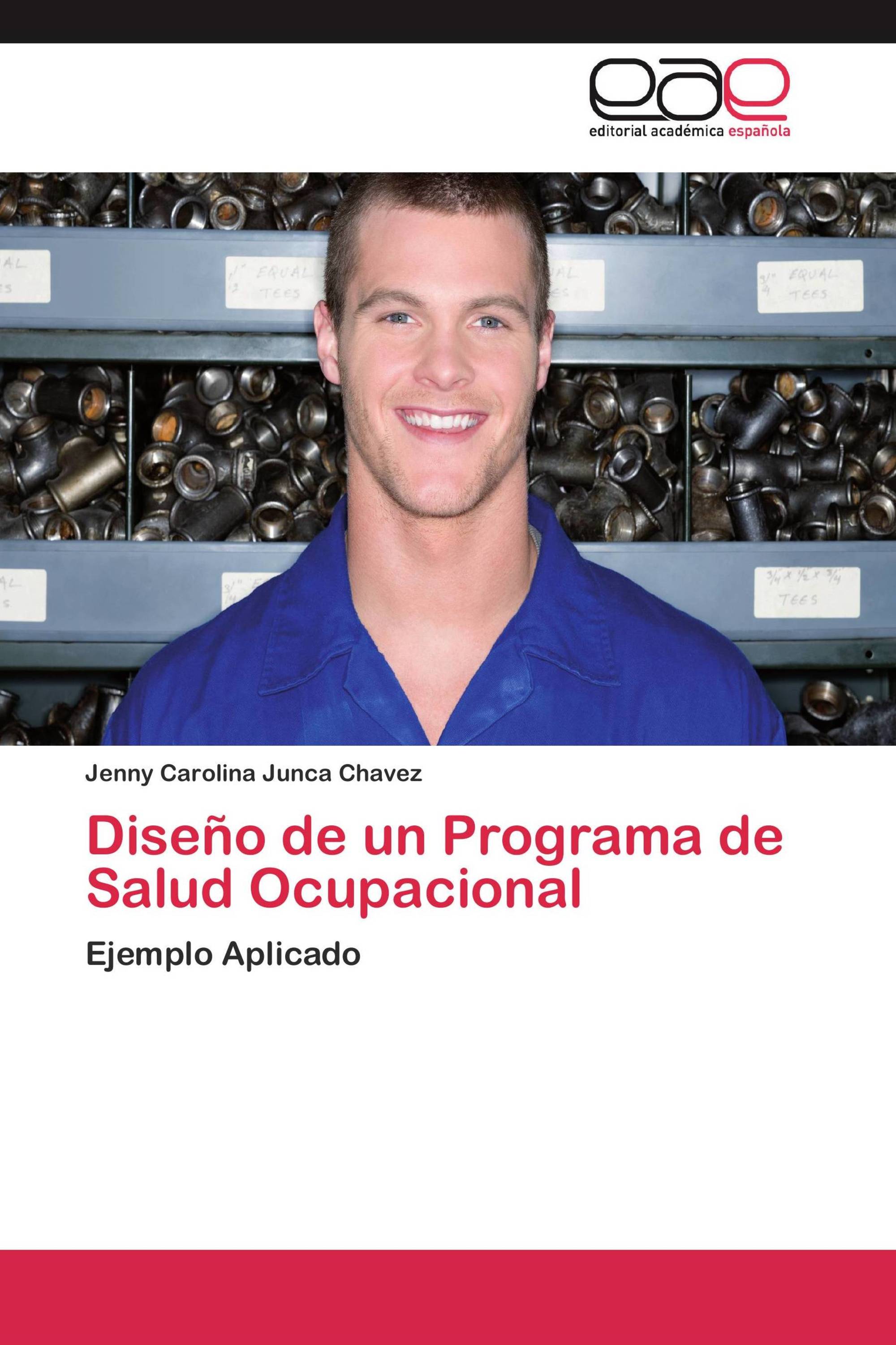 Diseño de un Programa de Salud Ocupacional