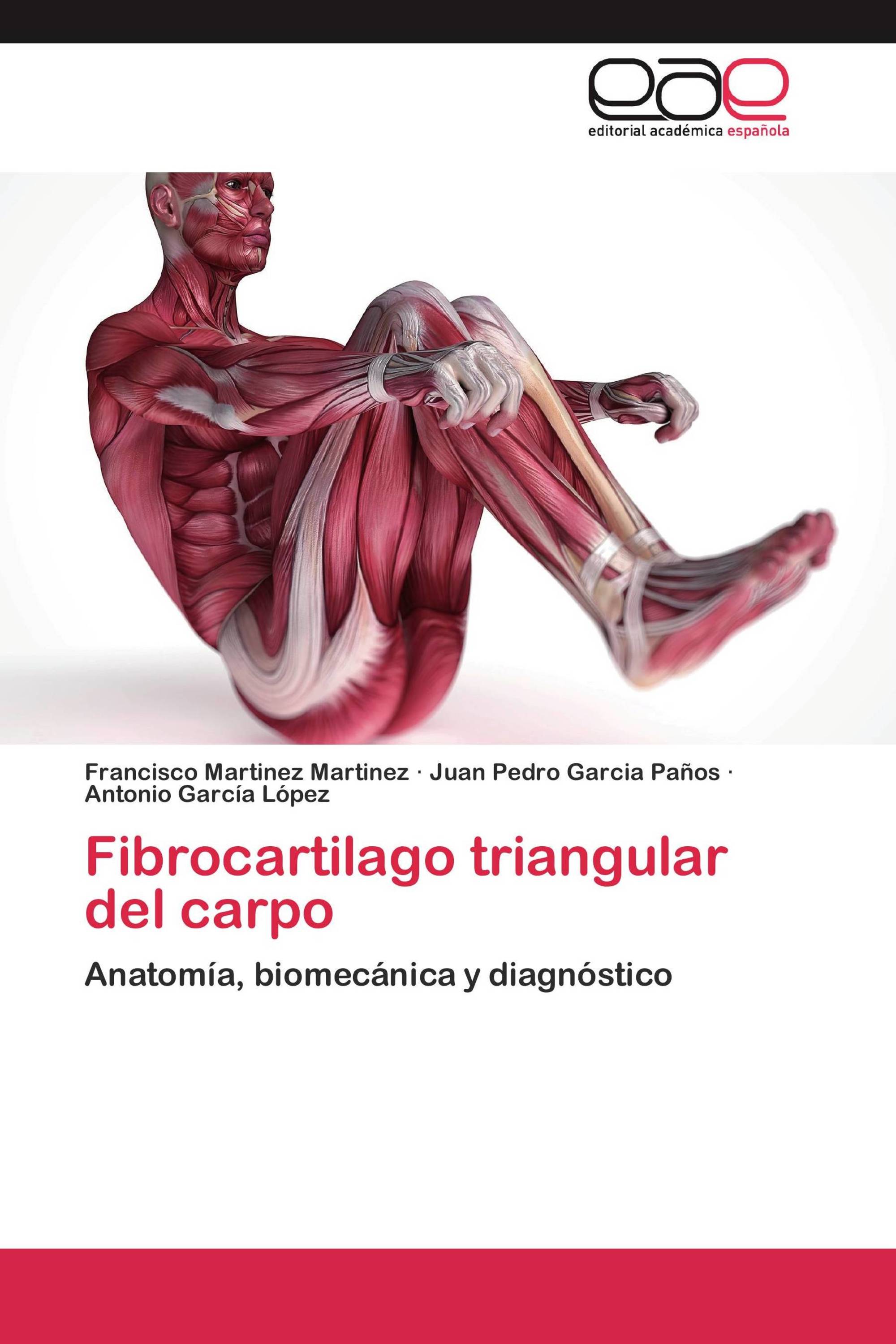 Fibrocartilago triangular del carpo