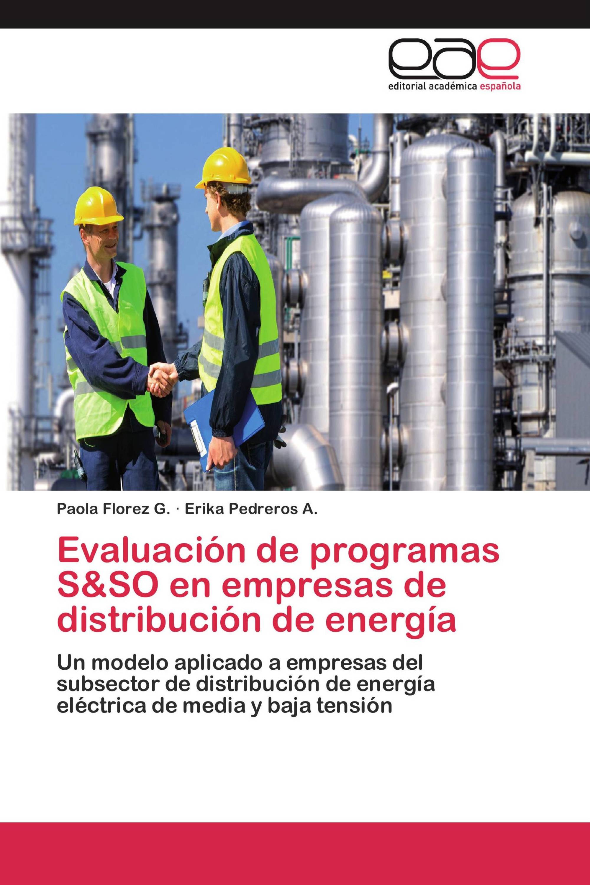 Evaluación de programas S&SO en empresas de distribución de energía