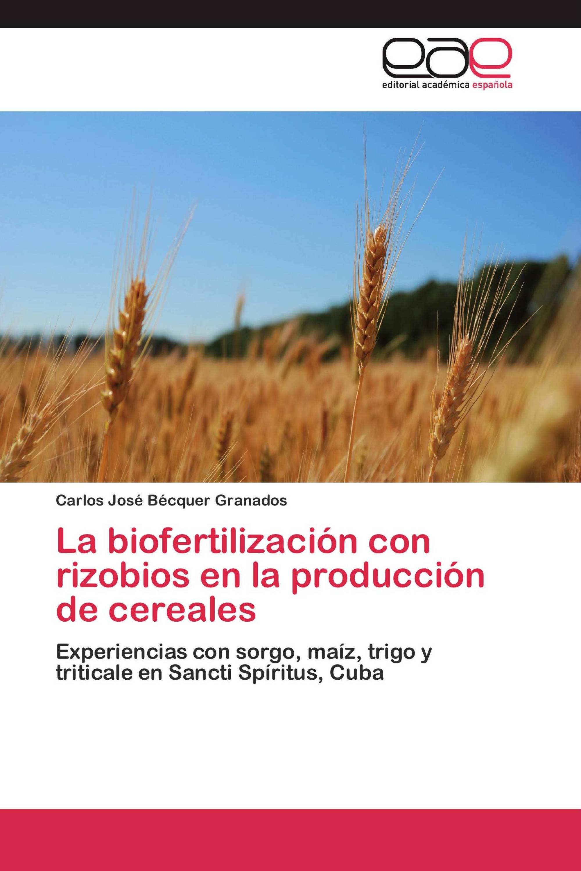 La biofertilización con rizobios en la producción de cereales
