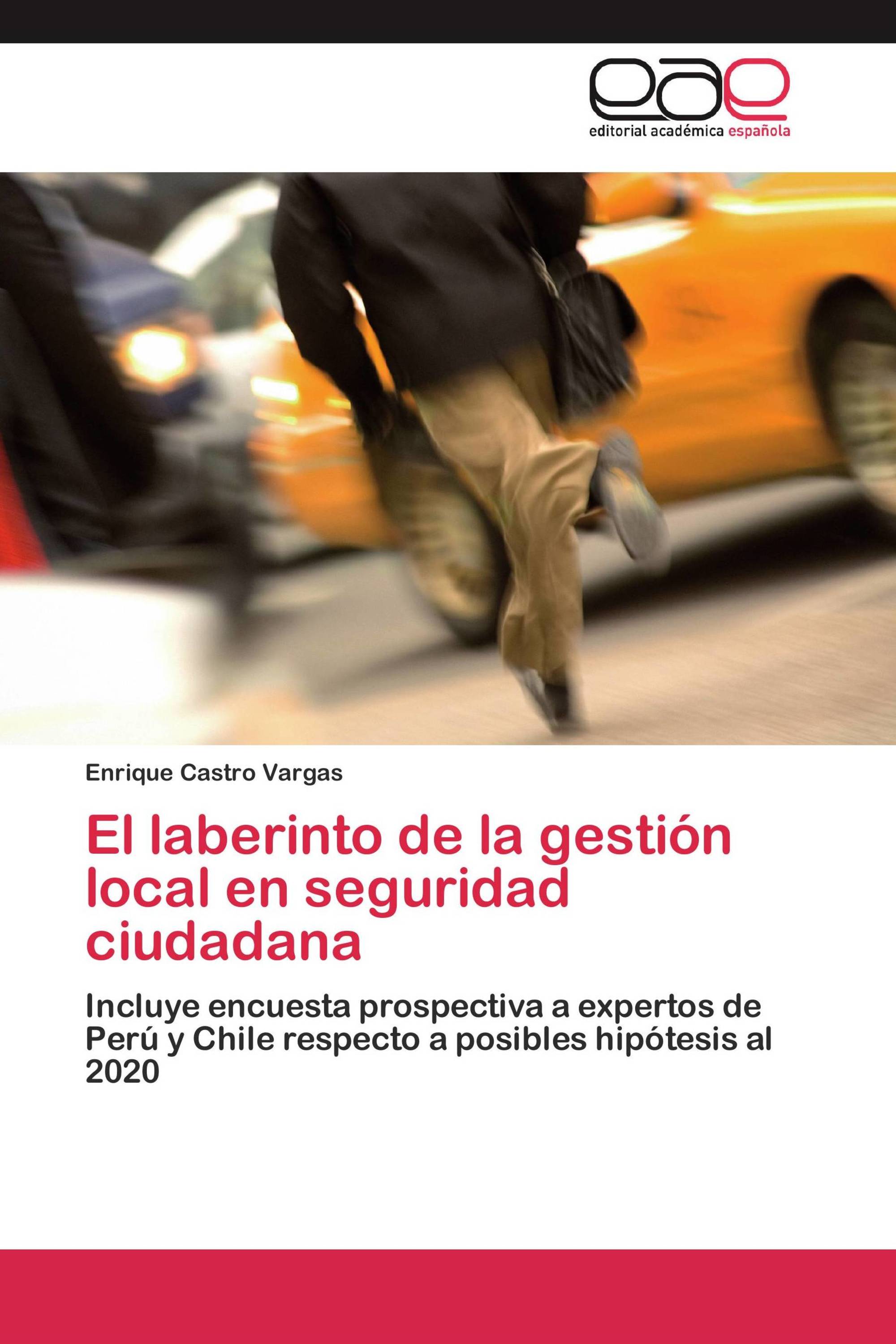 El laberinto de la gestión local en seguridad ciudadana