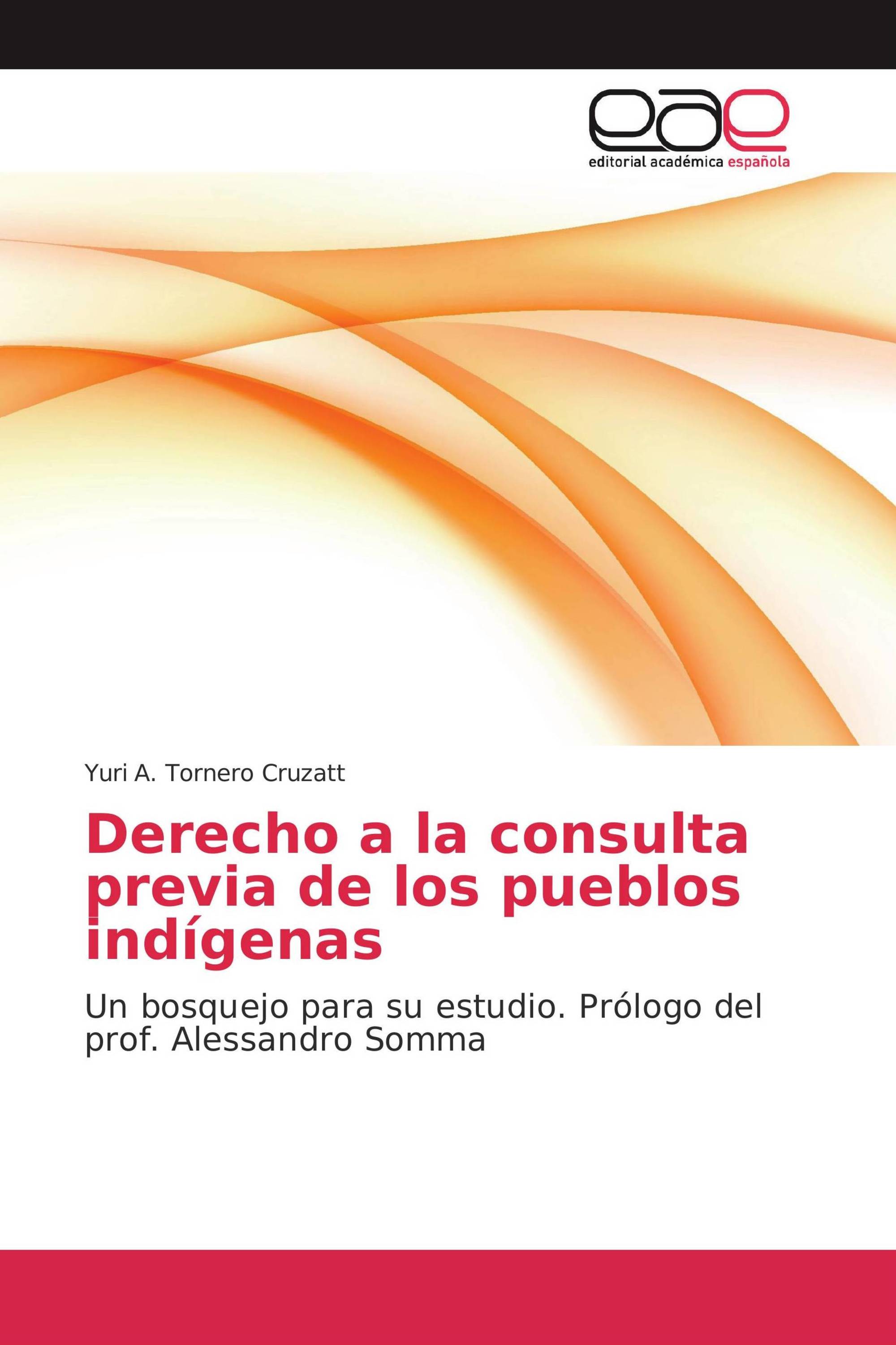 Derecho a la consulta previa de los pueblos indígenas