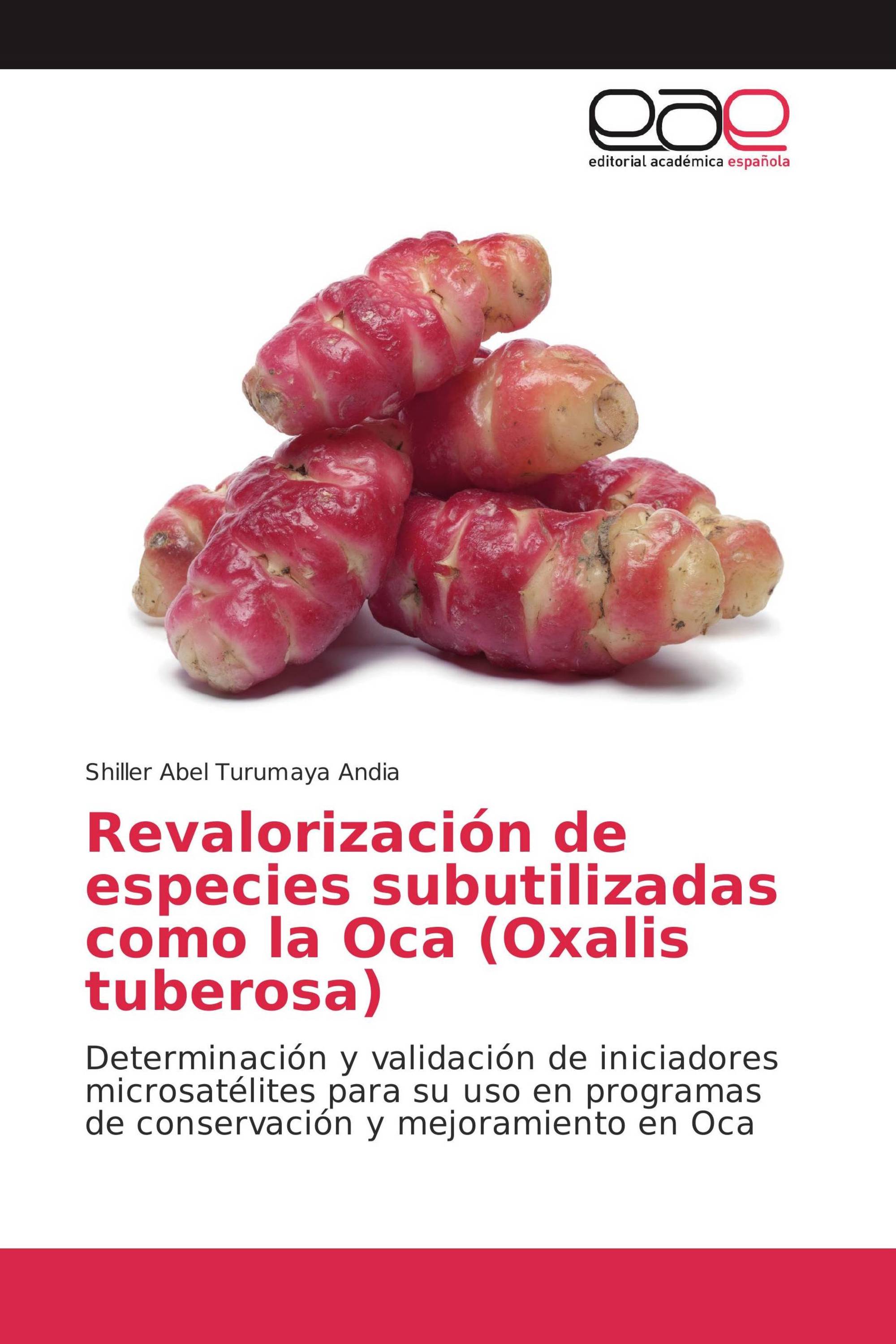 Revalorización de especies subutilizadas como la Oca (Oxalis tuberosa)