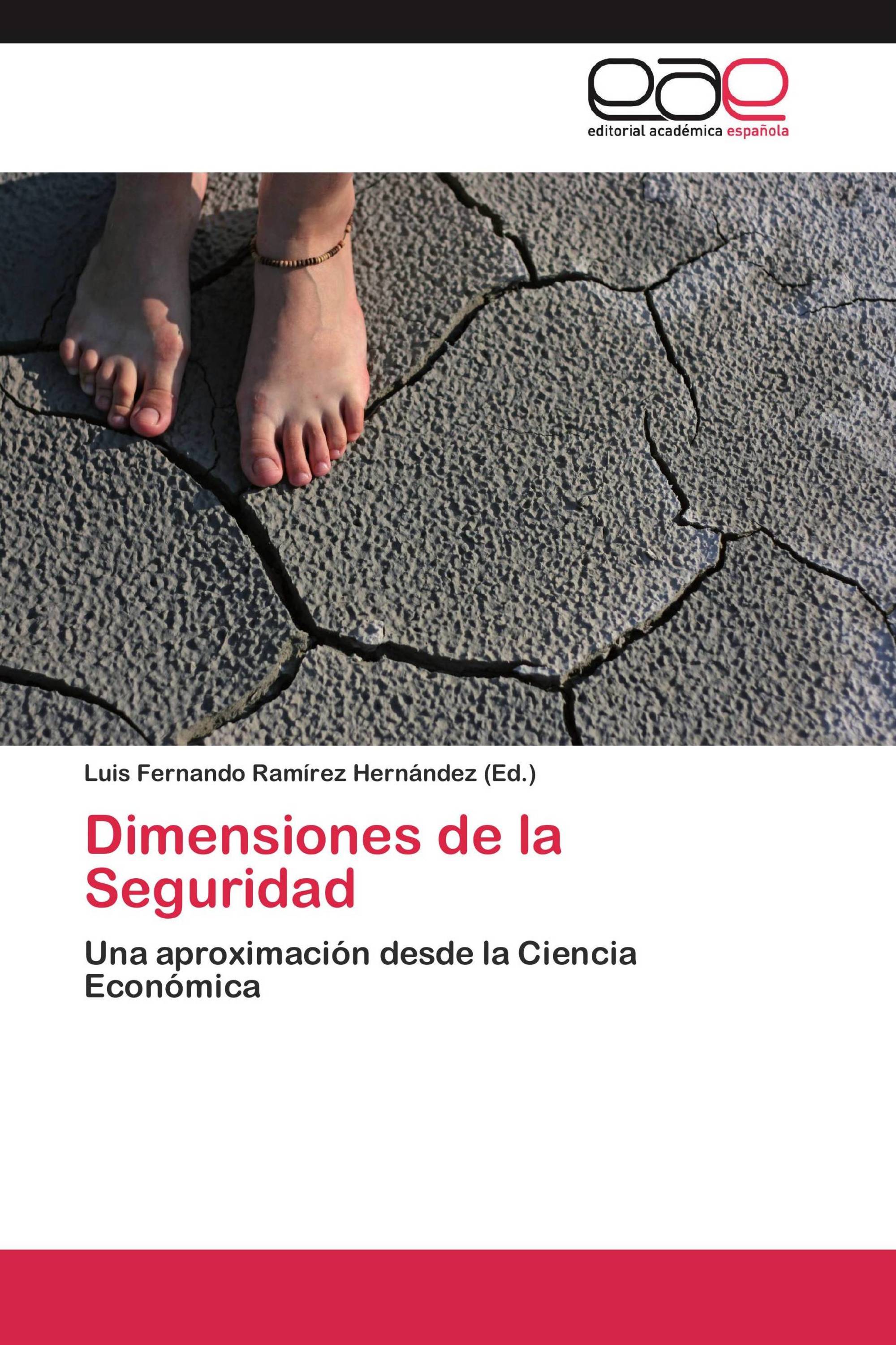 Dimensiones de la Seguridad