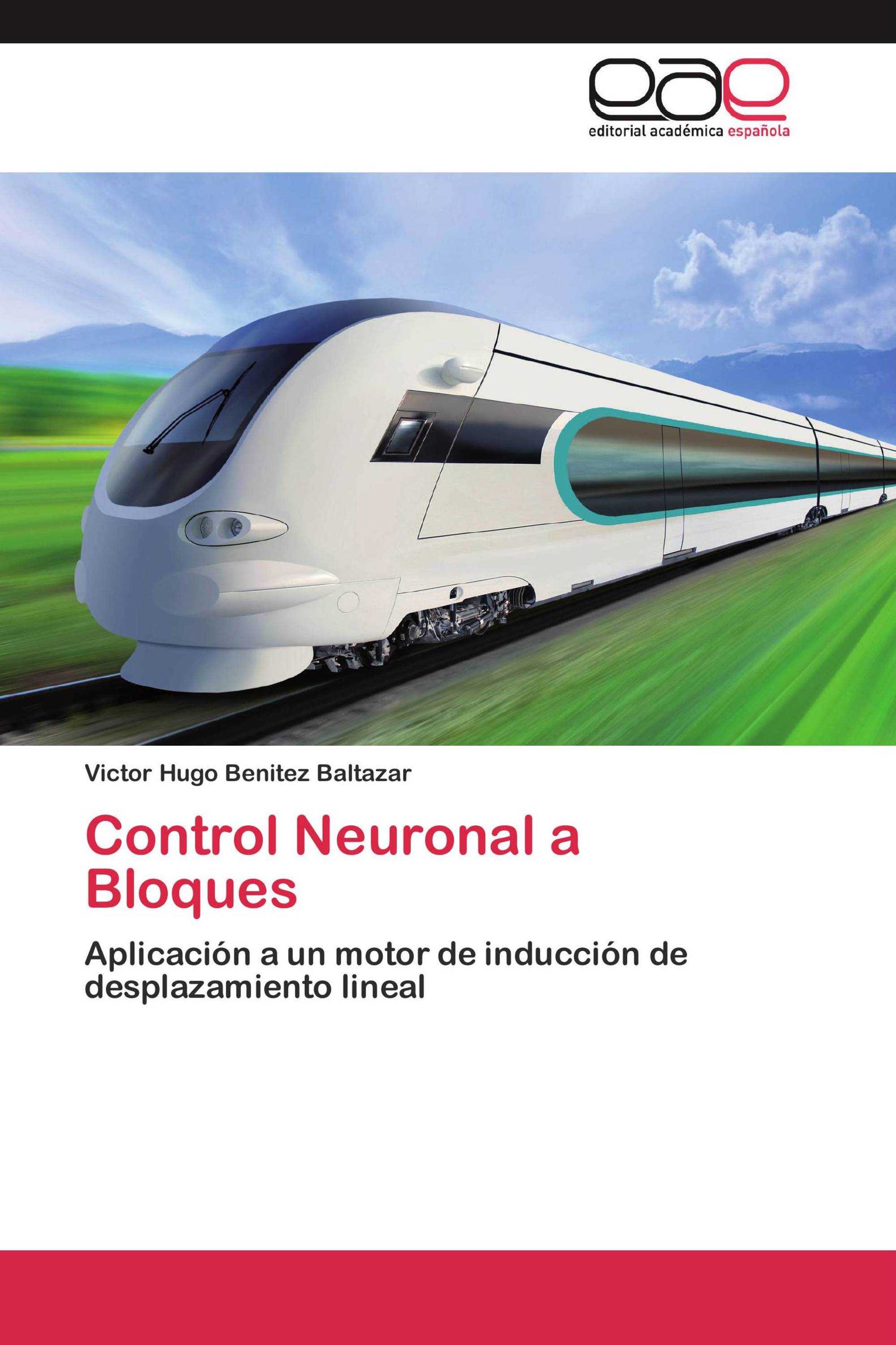 Control Neuronal a Bloques