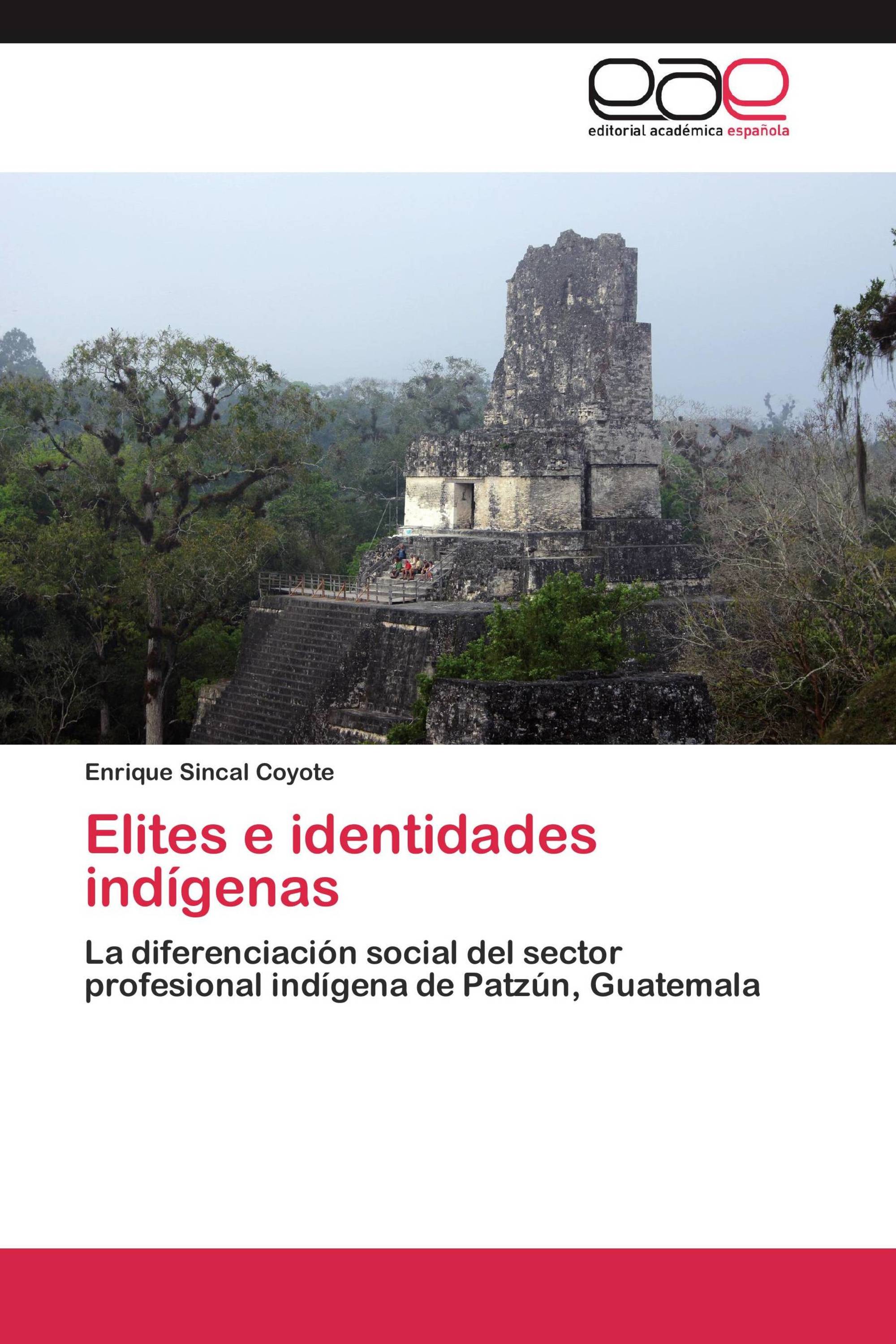 Elites e identidades indígenas