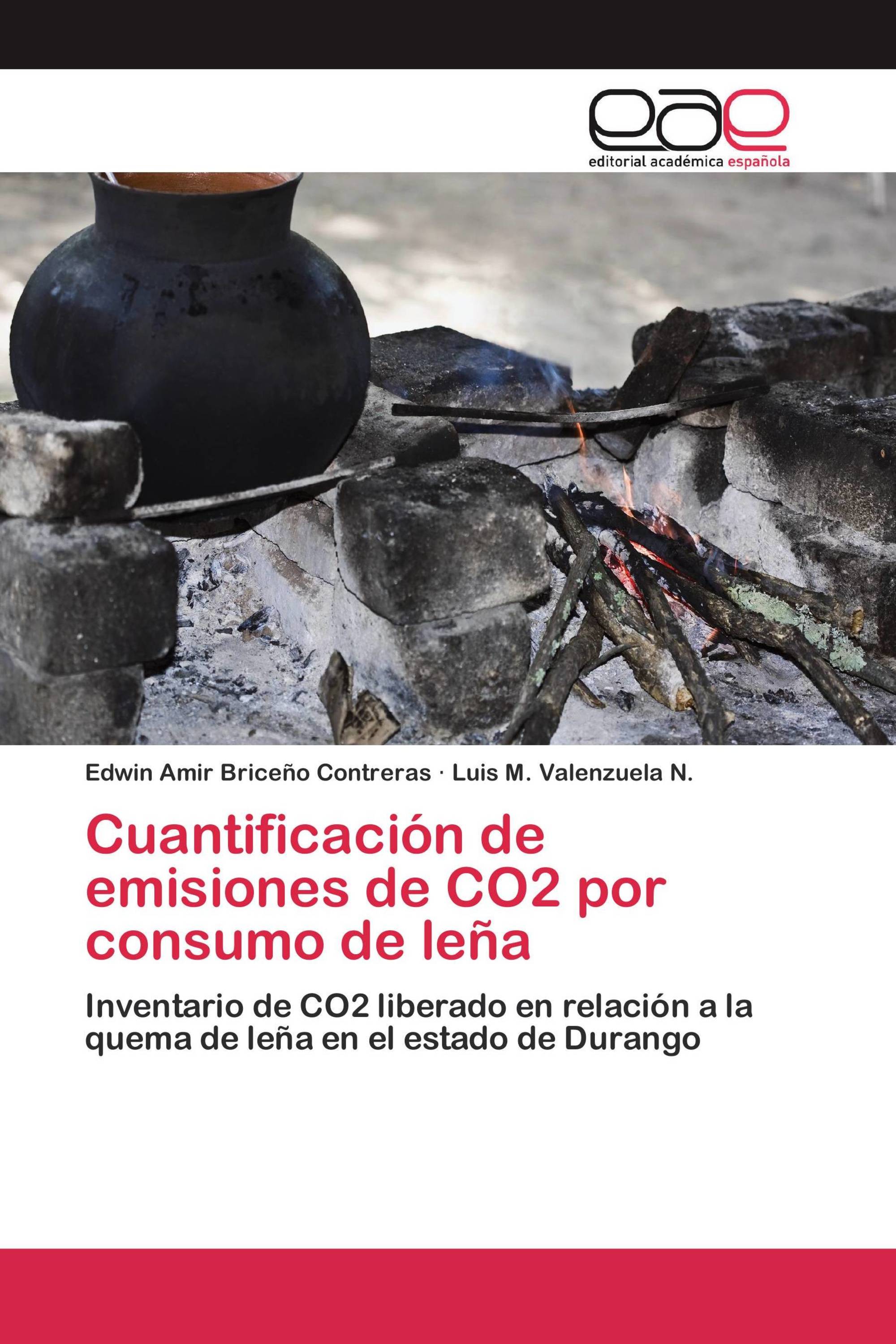 Cuantificación de emisiones de CO2 por consumo de leña