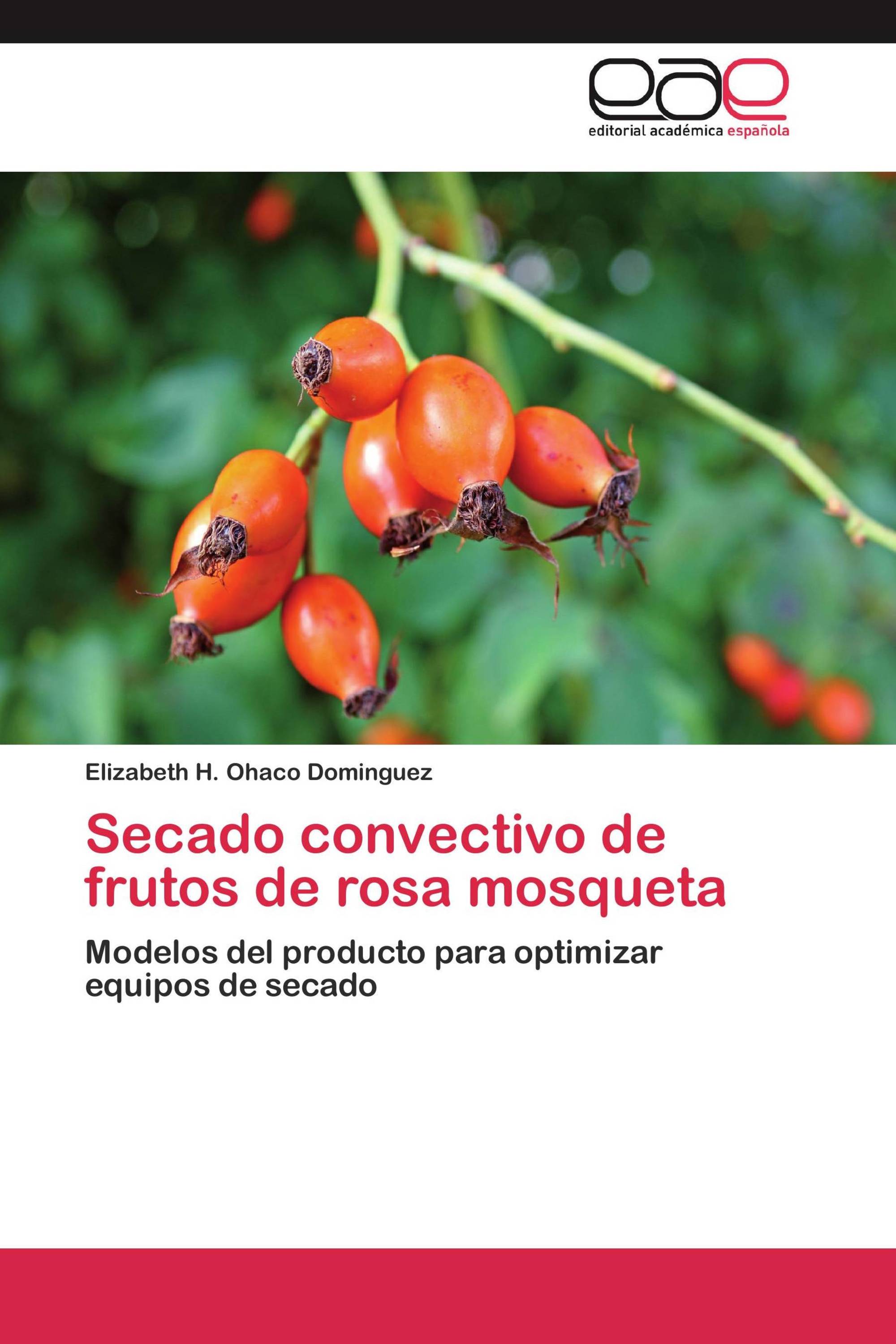 Secado convectivo de frutos de rosa mosqueta