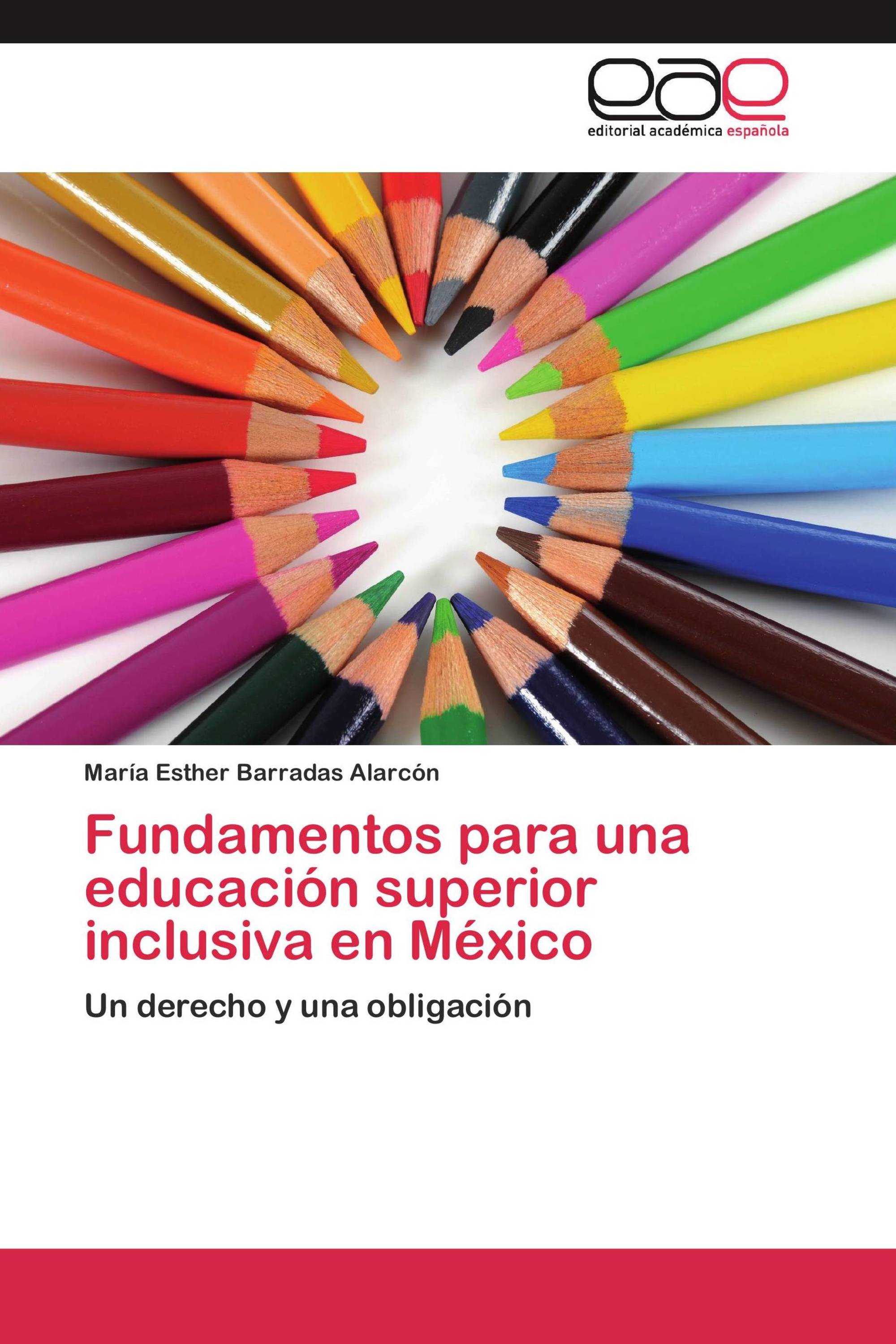 Fundamentos para una educación superior inclusiva en México