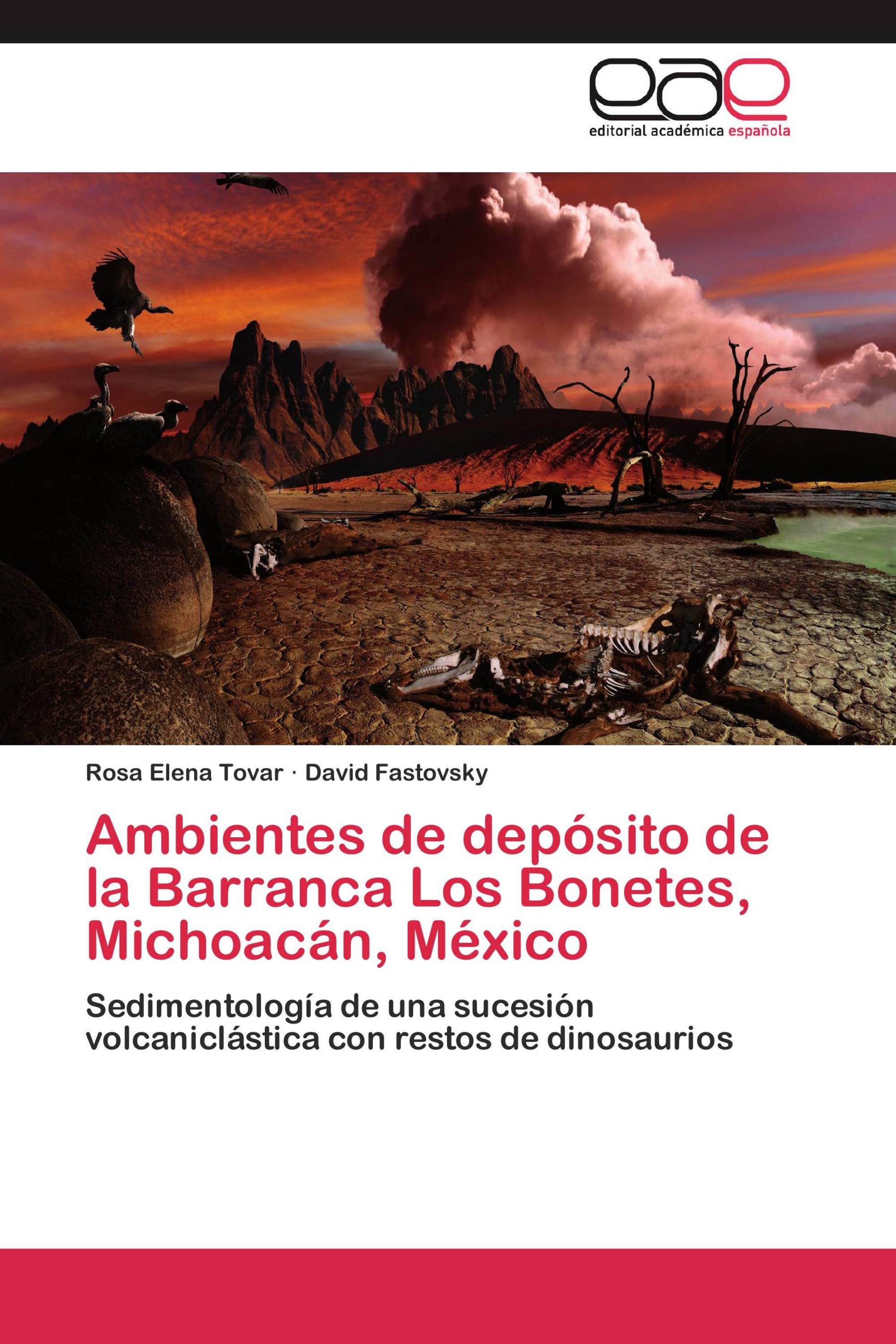 Ambientes de depósito de la Barranca Los Bonetes, Michoacán, México