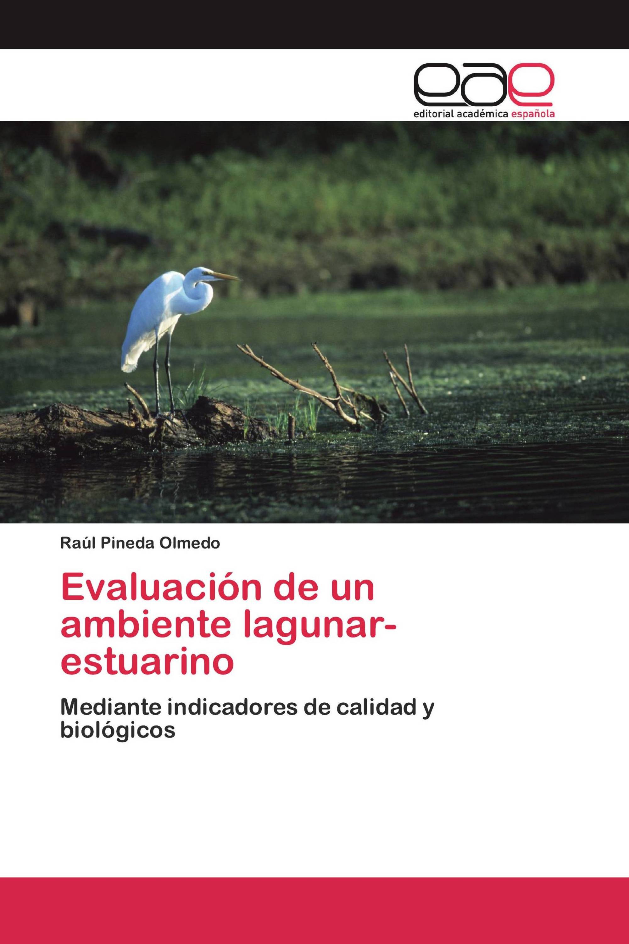 Evaluación de un ambiente lagunar- estuarino