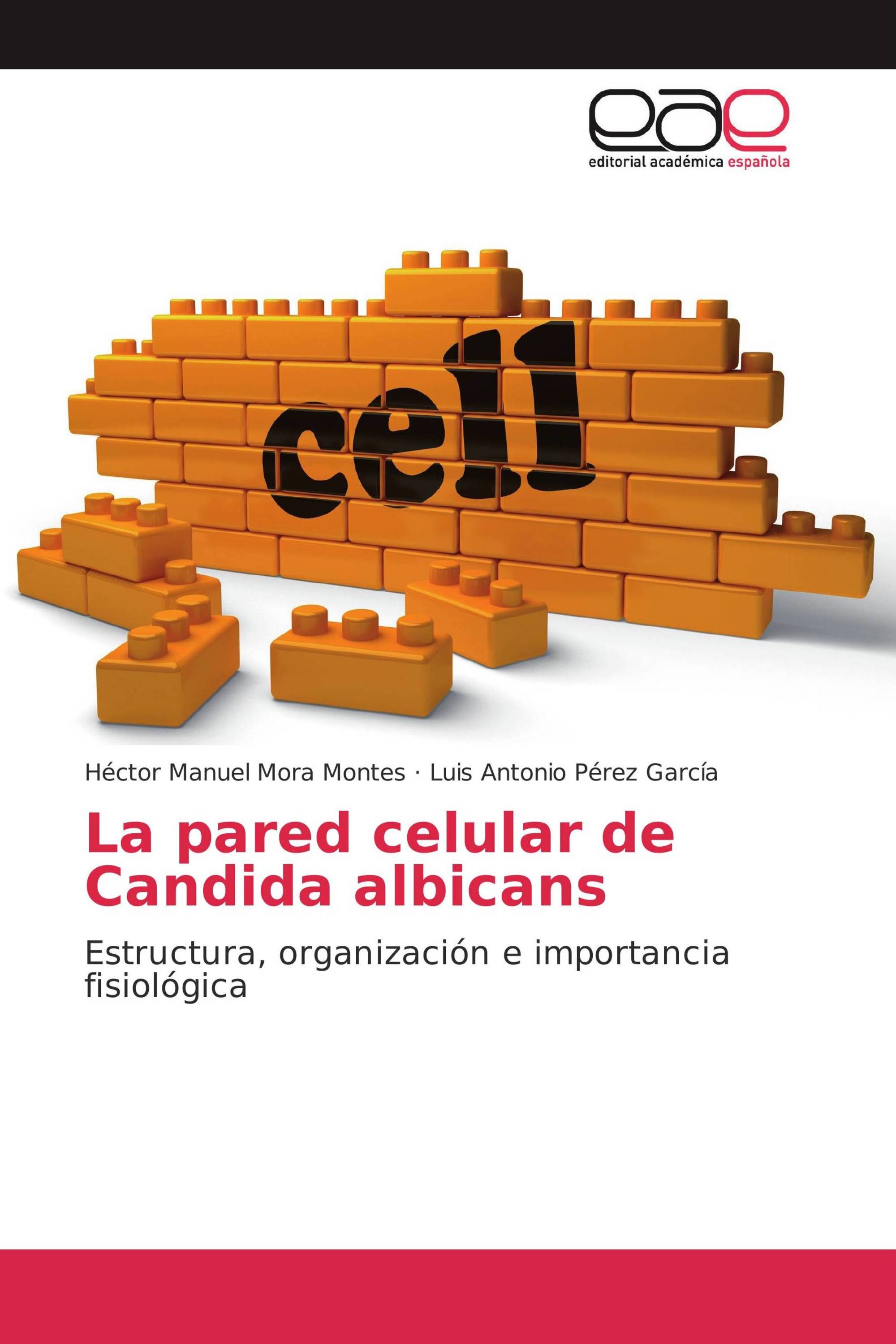 La pared celular de Candida albicans