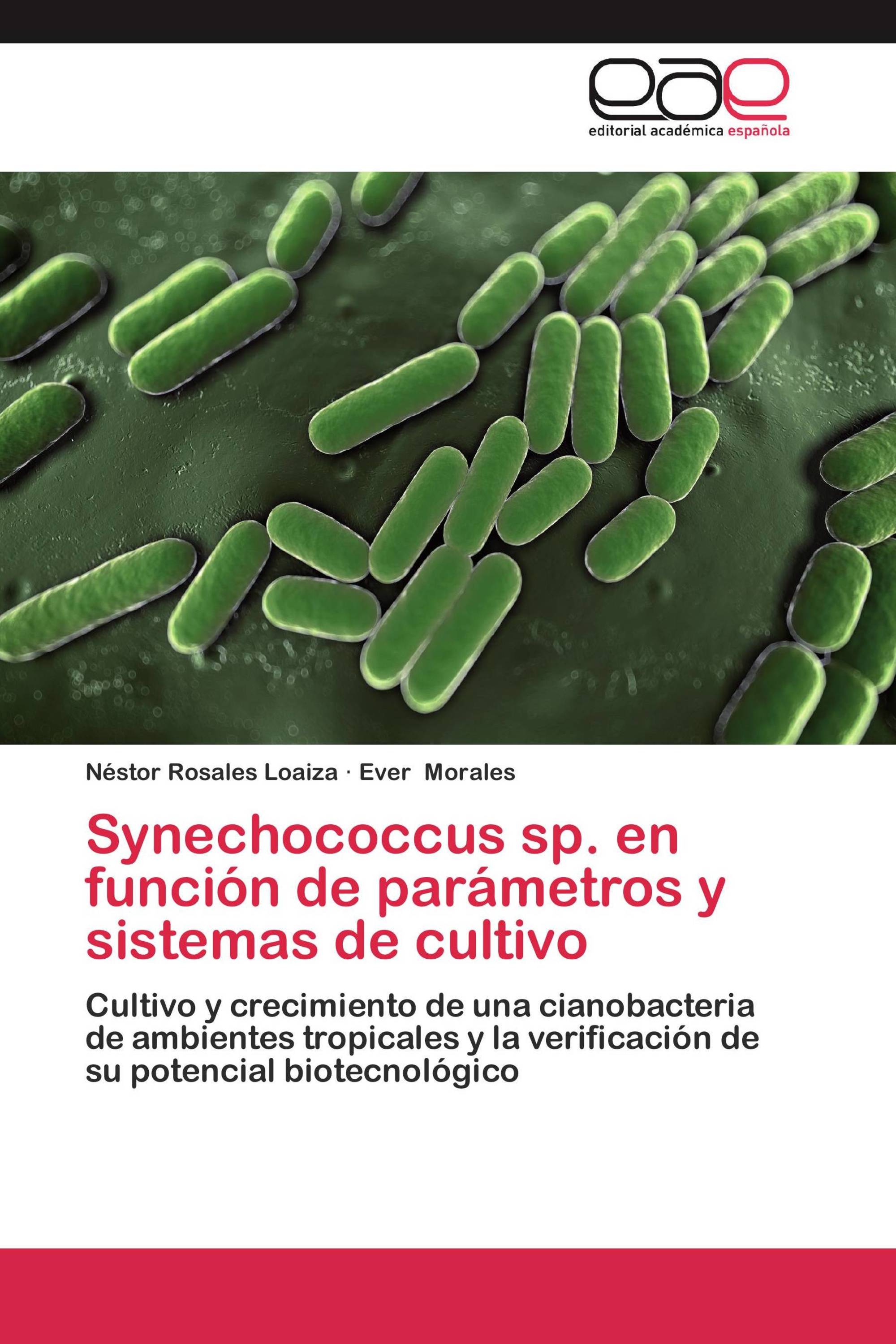 Synechococcus sp. en función de parámetros y sistemas de cultivo