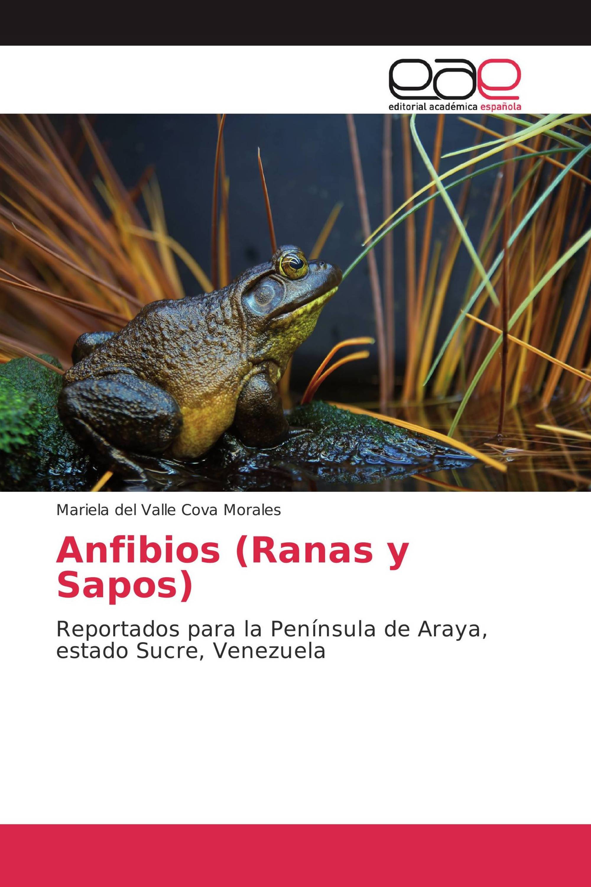 Anfibios (Ranas y Sapos)