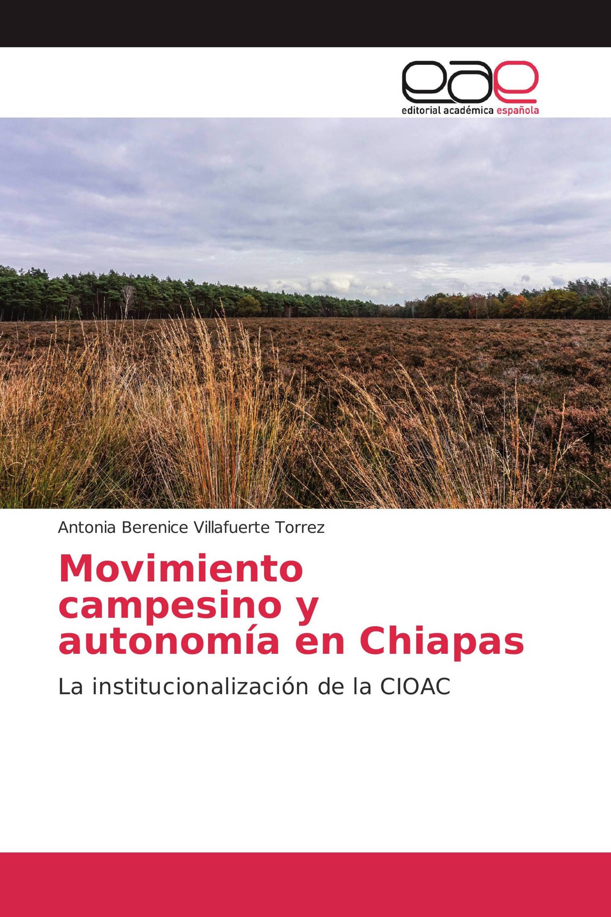 Movimiento campesino y autonomía en Chiapas