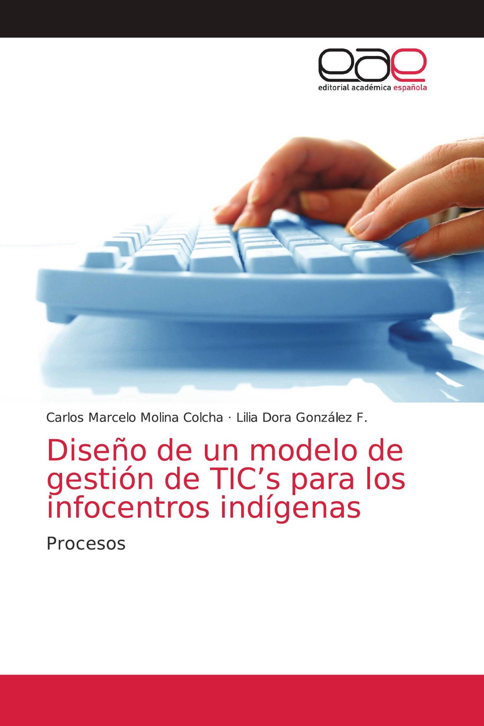 Diseño de un modelo de gestión de TIC’s para los infocentros indígenas