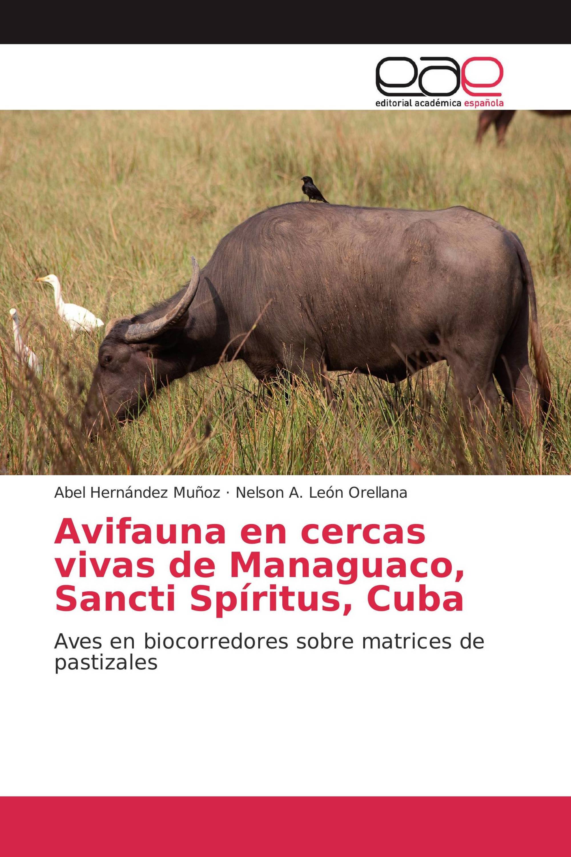 Avifauna en cercas vivas de Managuaco, Sancti Spíritus, Cuba