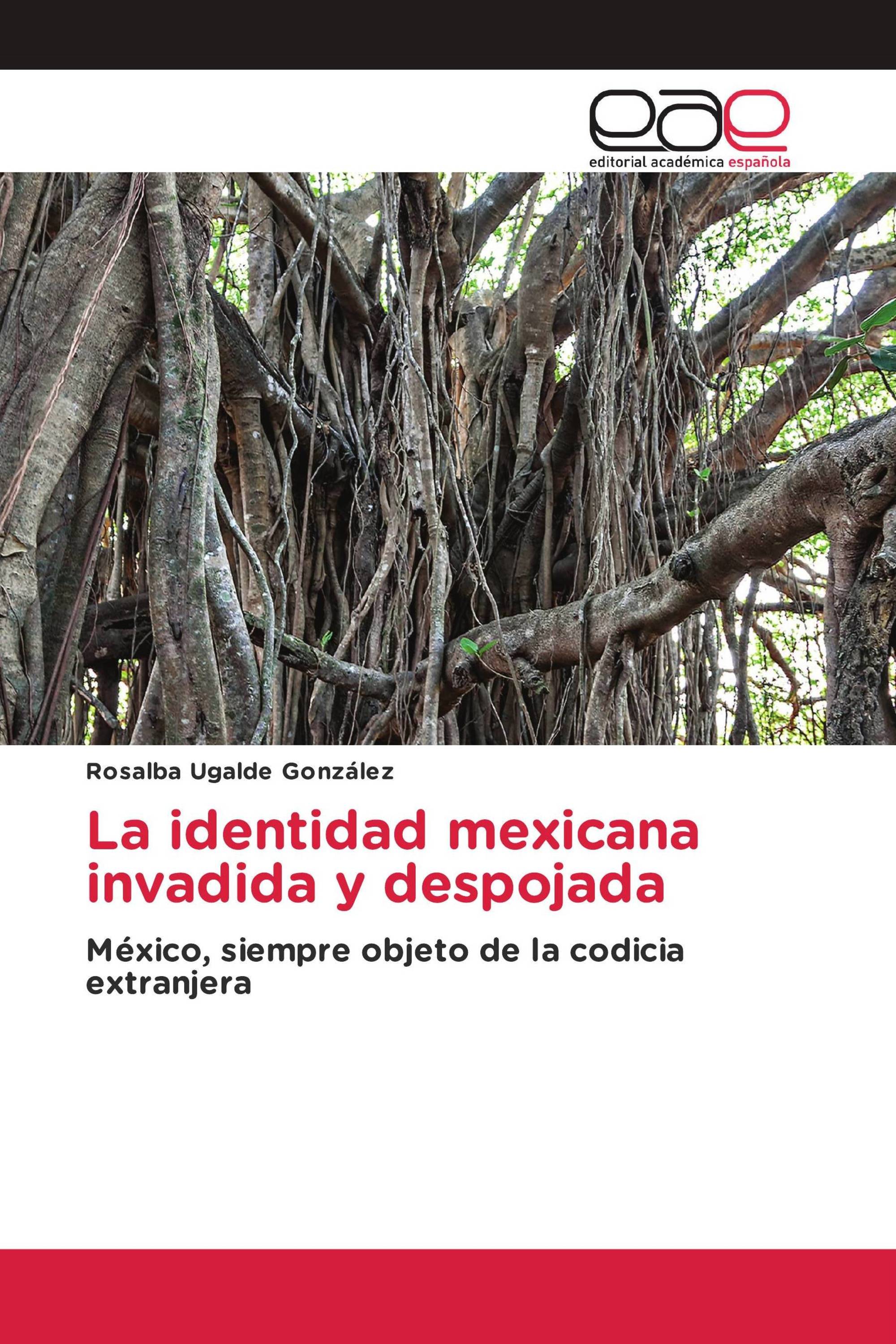 La identidad mexicana invadida y despojada