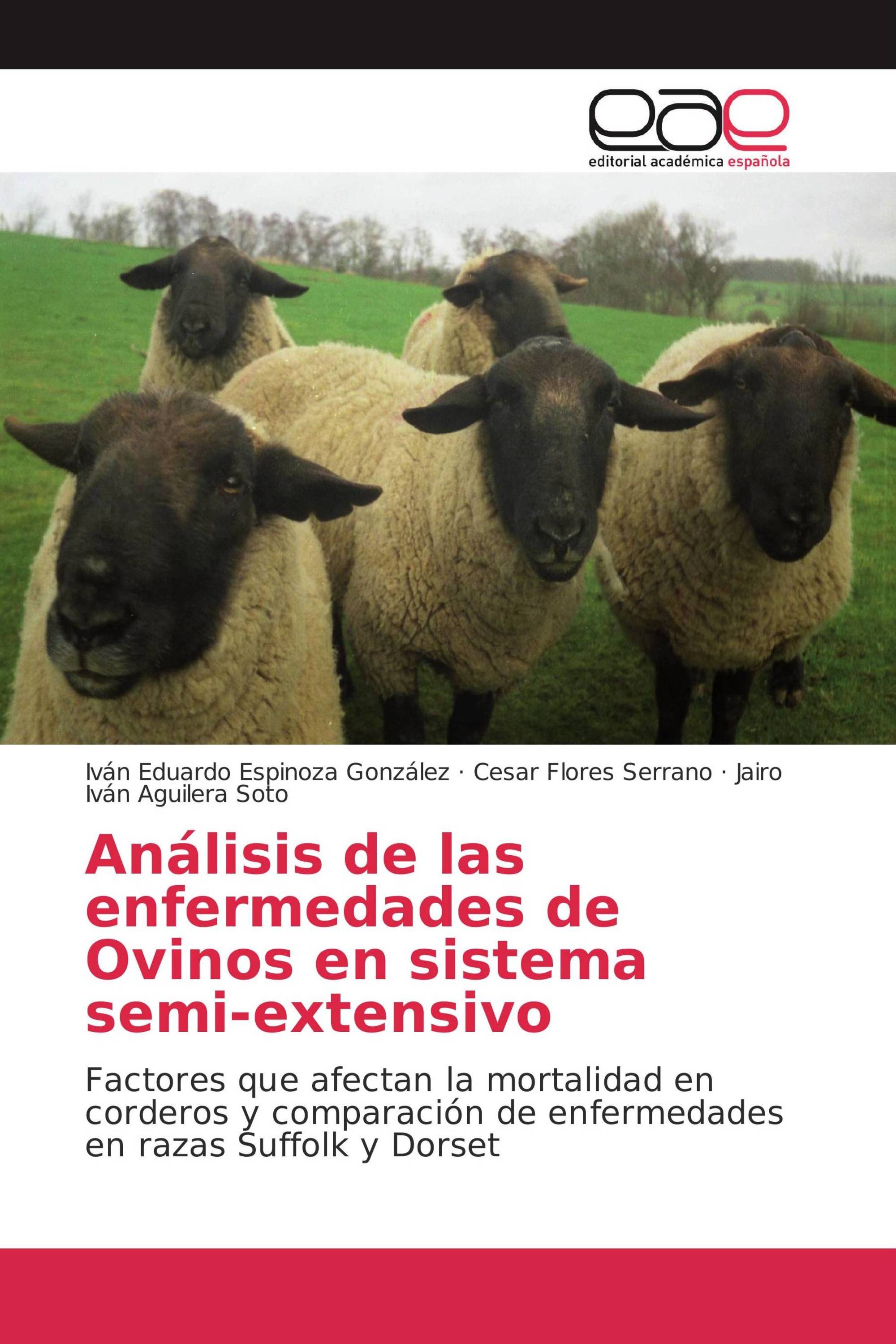 Análisis de las enfermedades de Ovinos en sistema semi-extensivo