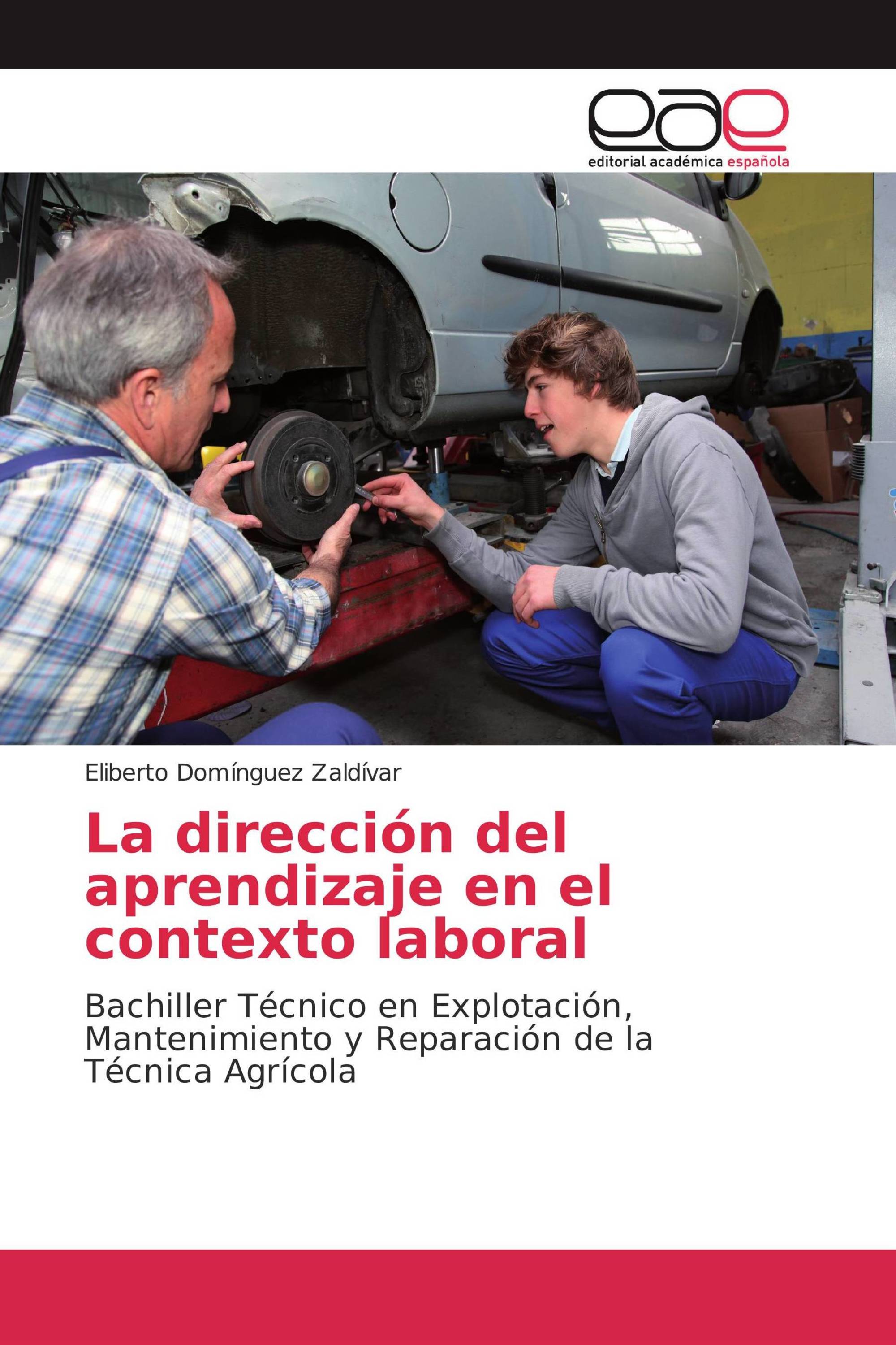 La dirección del aprendizaje en el contexto laboral