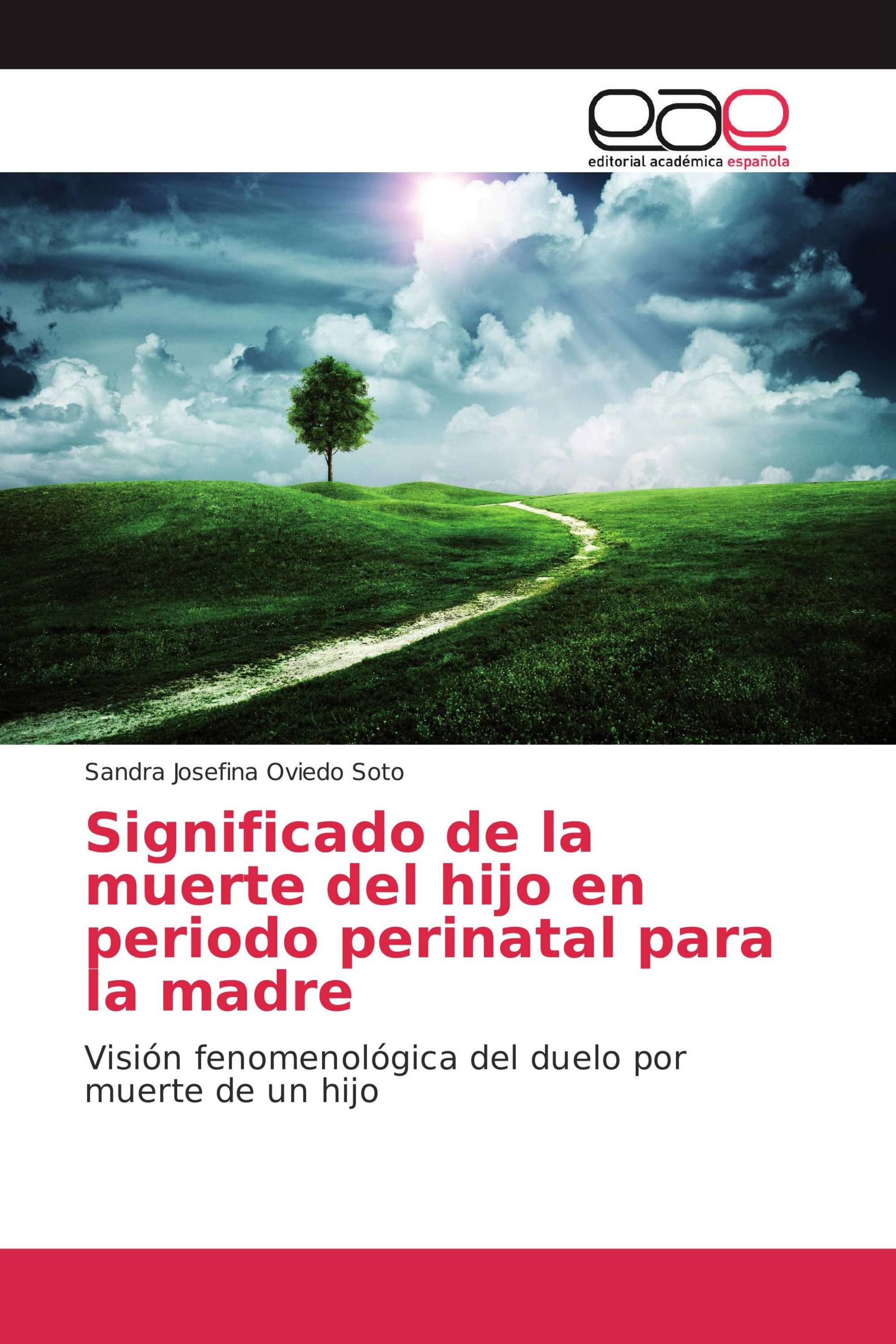 Significado de la muerte del hijo en periodo perinatal para la madre