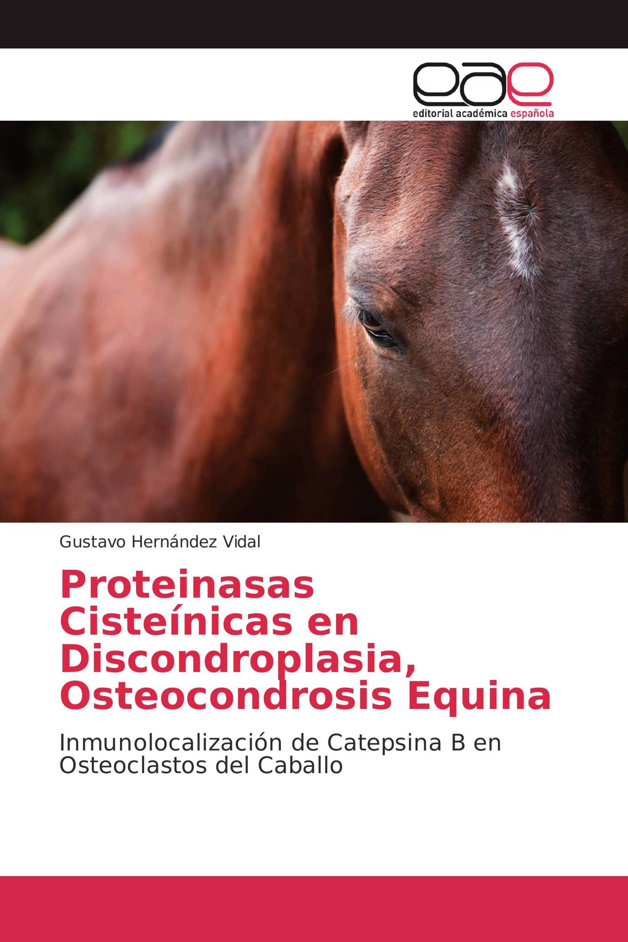 Proteinasas Cisteínicas en Discondroplasia, Osteocondrosis Equina