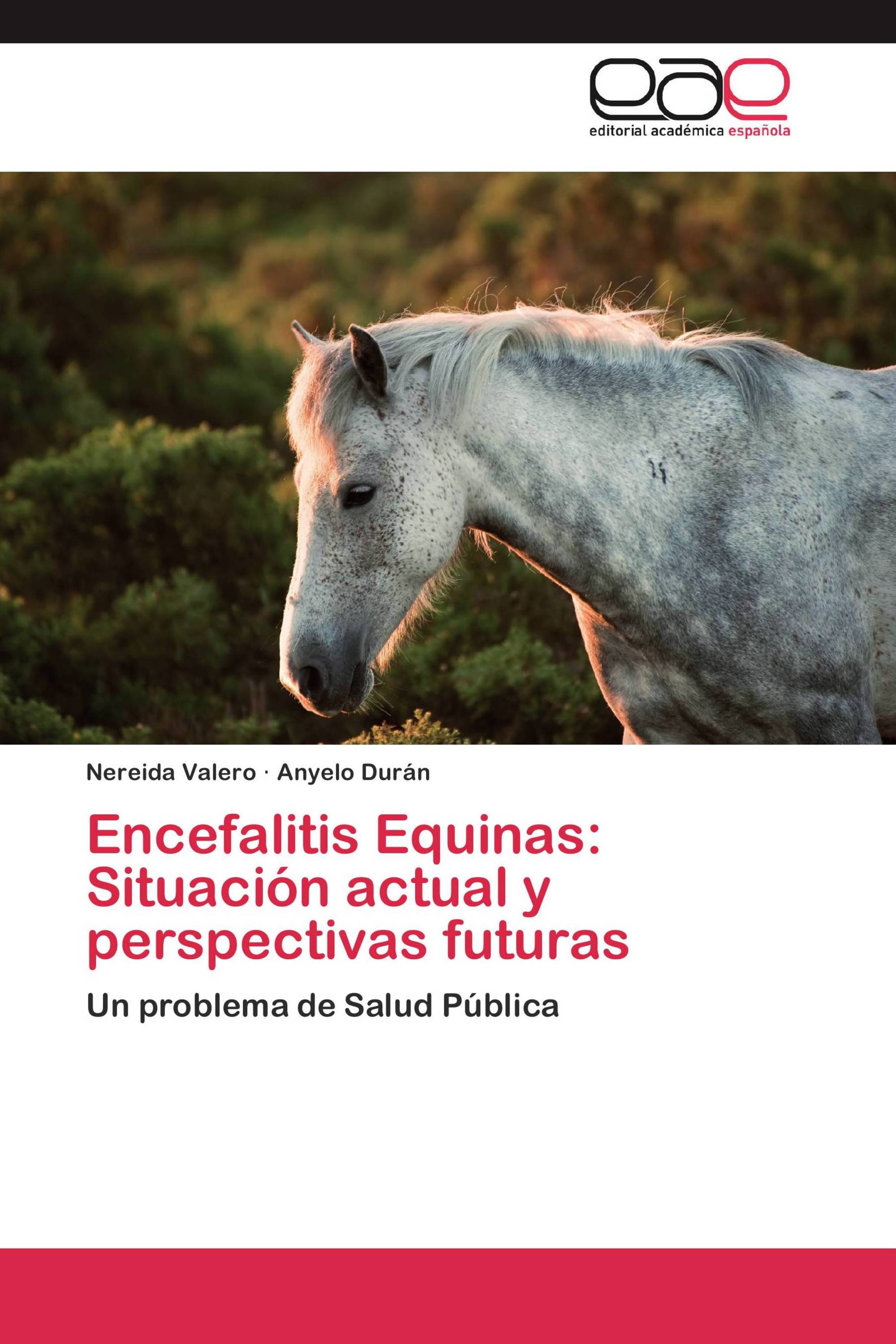 Encefalitis Equinas: Situación actual y perspectivas futuras