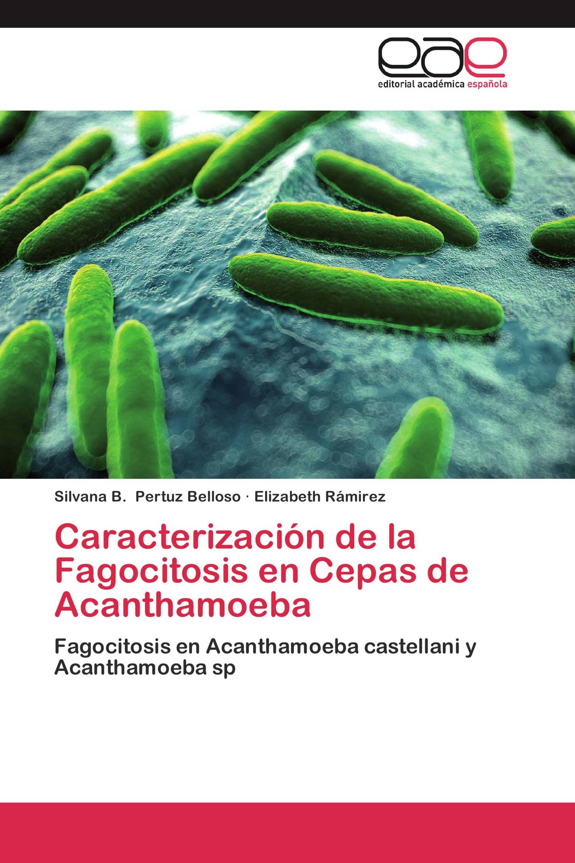 Caracterización de la Fagocitosis en Cepas de Acanthamoeba