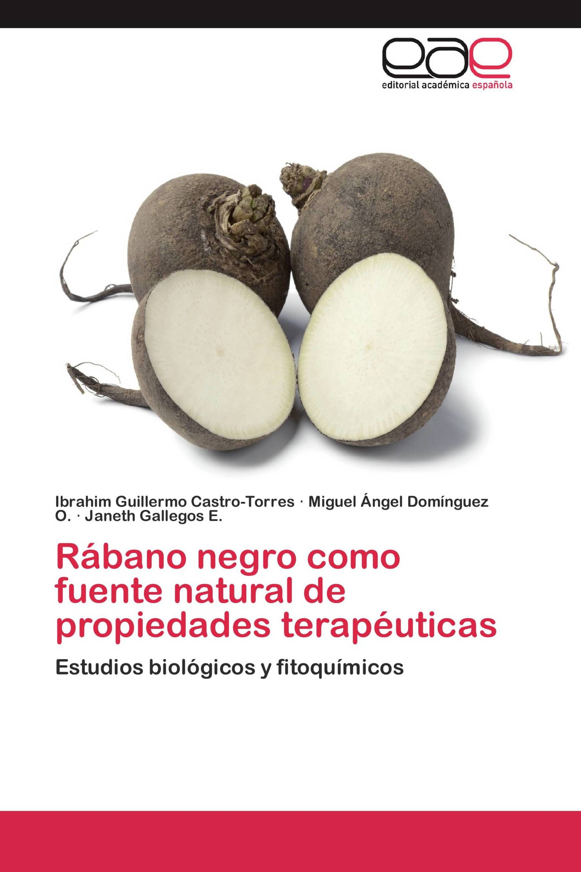 Rábano negro como fuente natural de propiedades terapéuticas