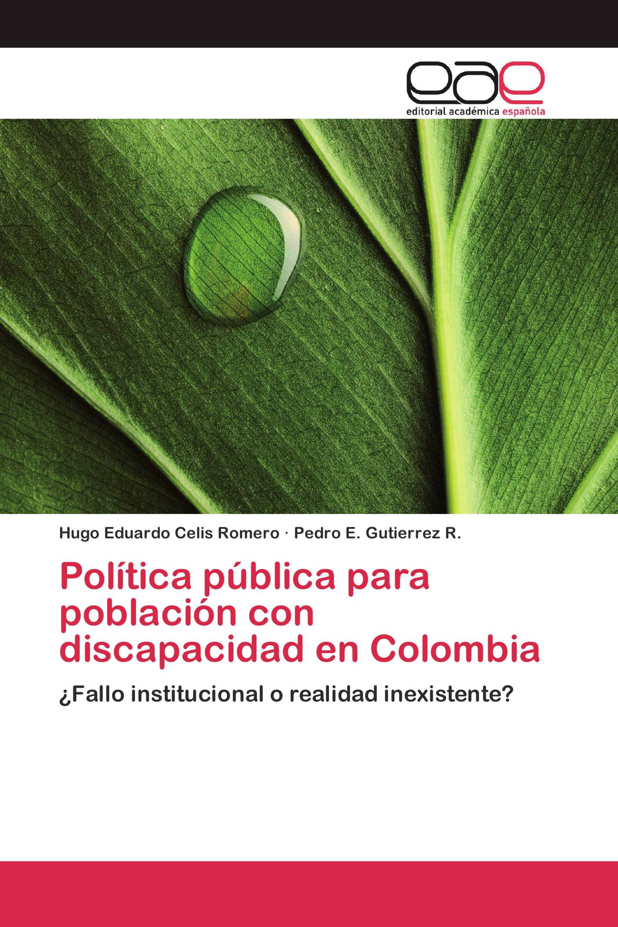 Política pública para población con discapacidad en Colombia