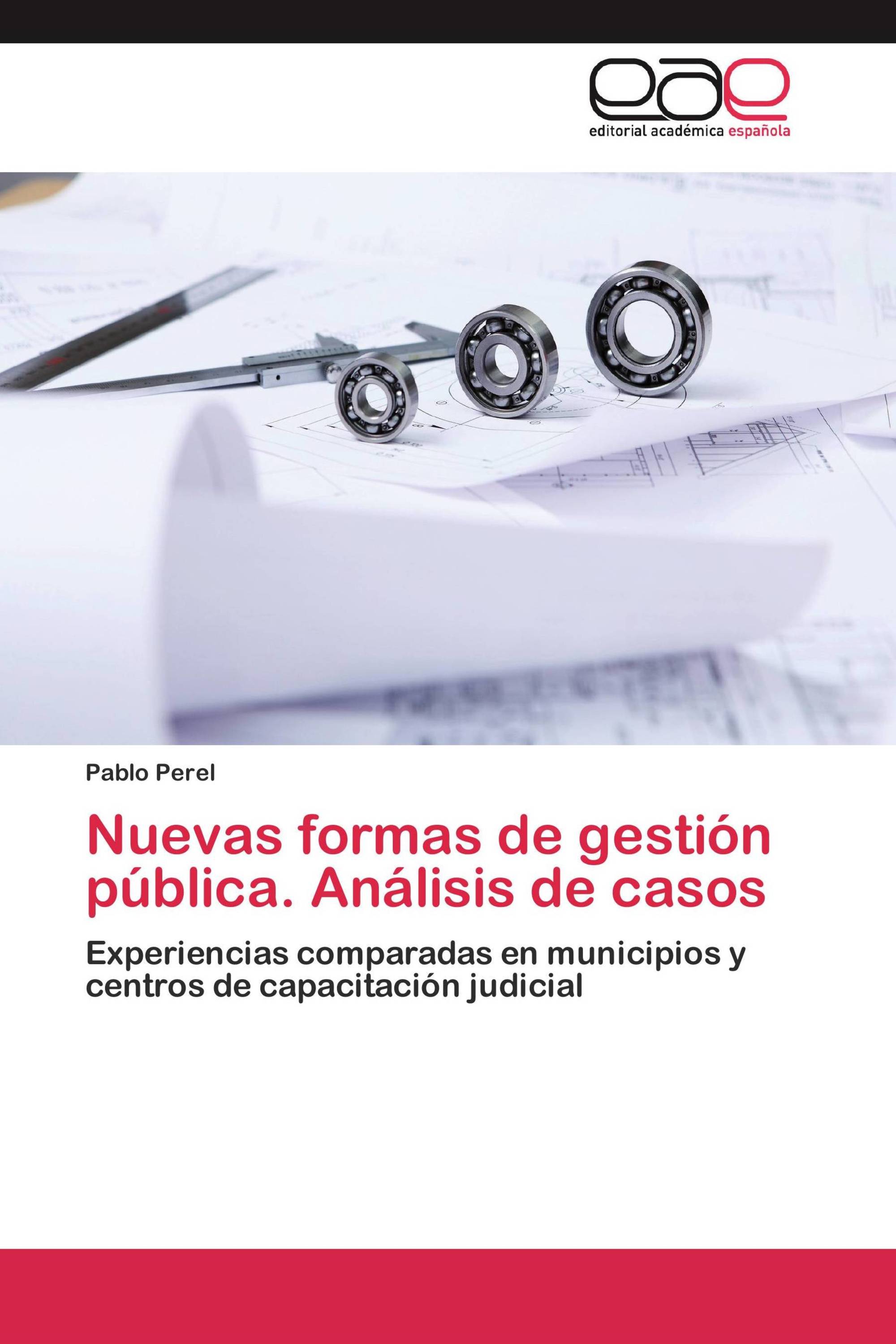 Nuevas formas de gestión pública. Análisis de casos