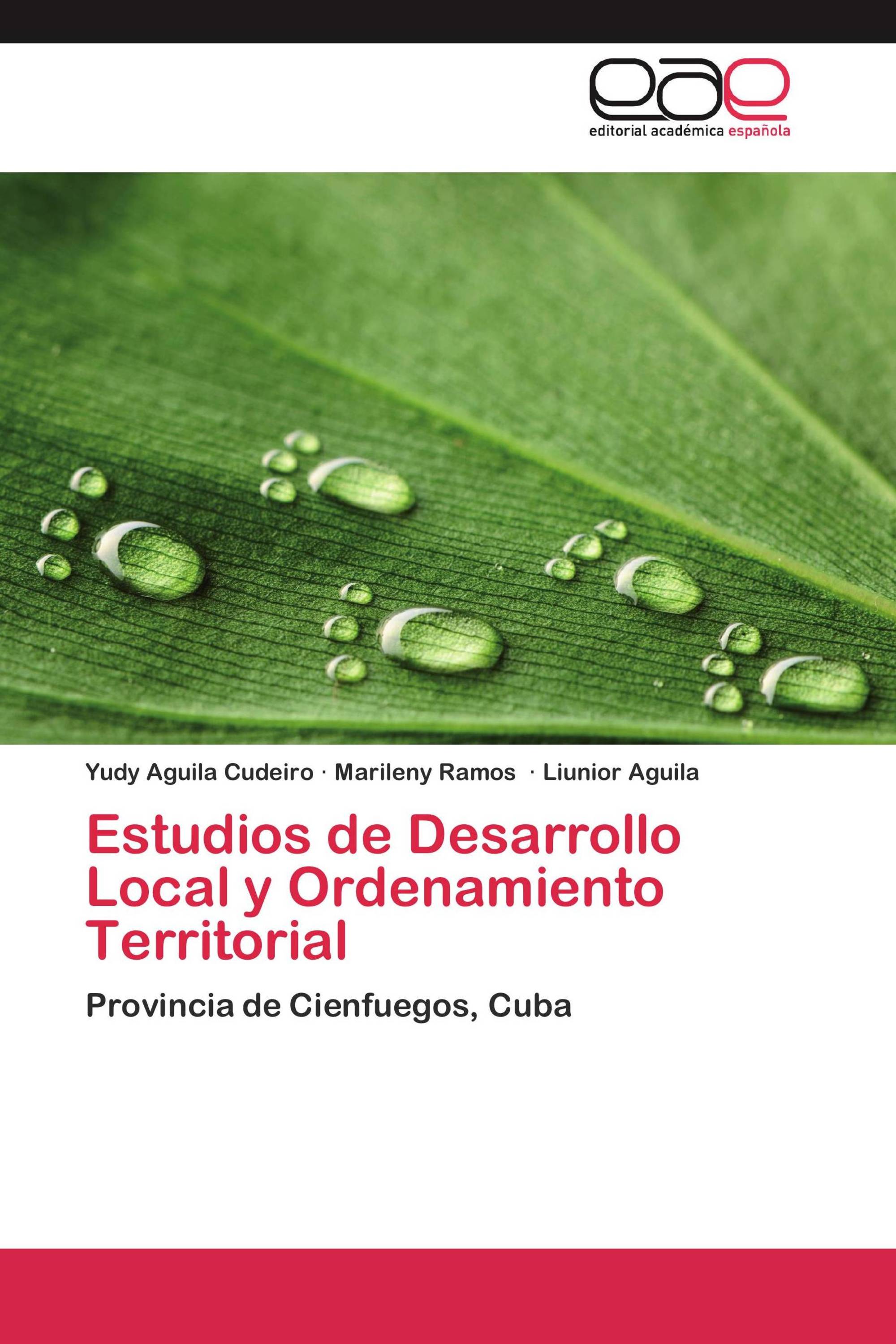 Estudios de Desarrollo Local y Ordenamiento Territorial