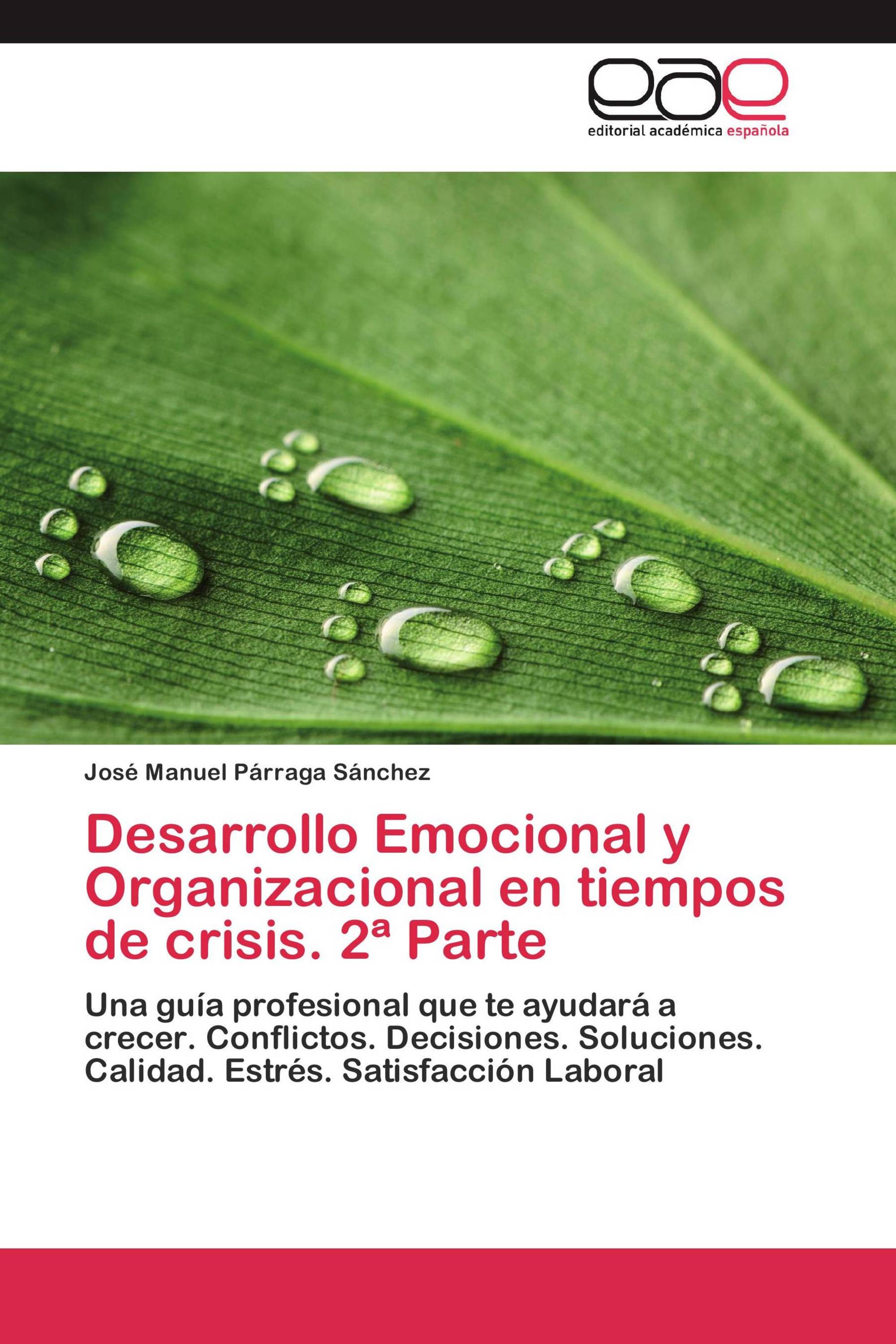 Desarrollo Emocional y Organizacional en tiempos de crisis. 2ª Parte