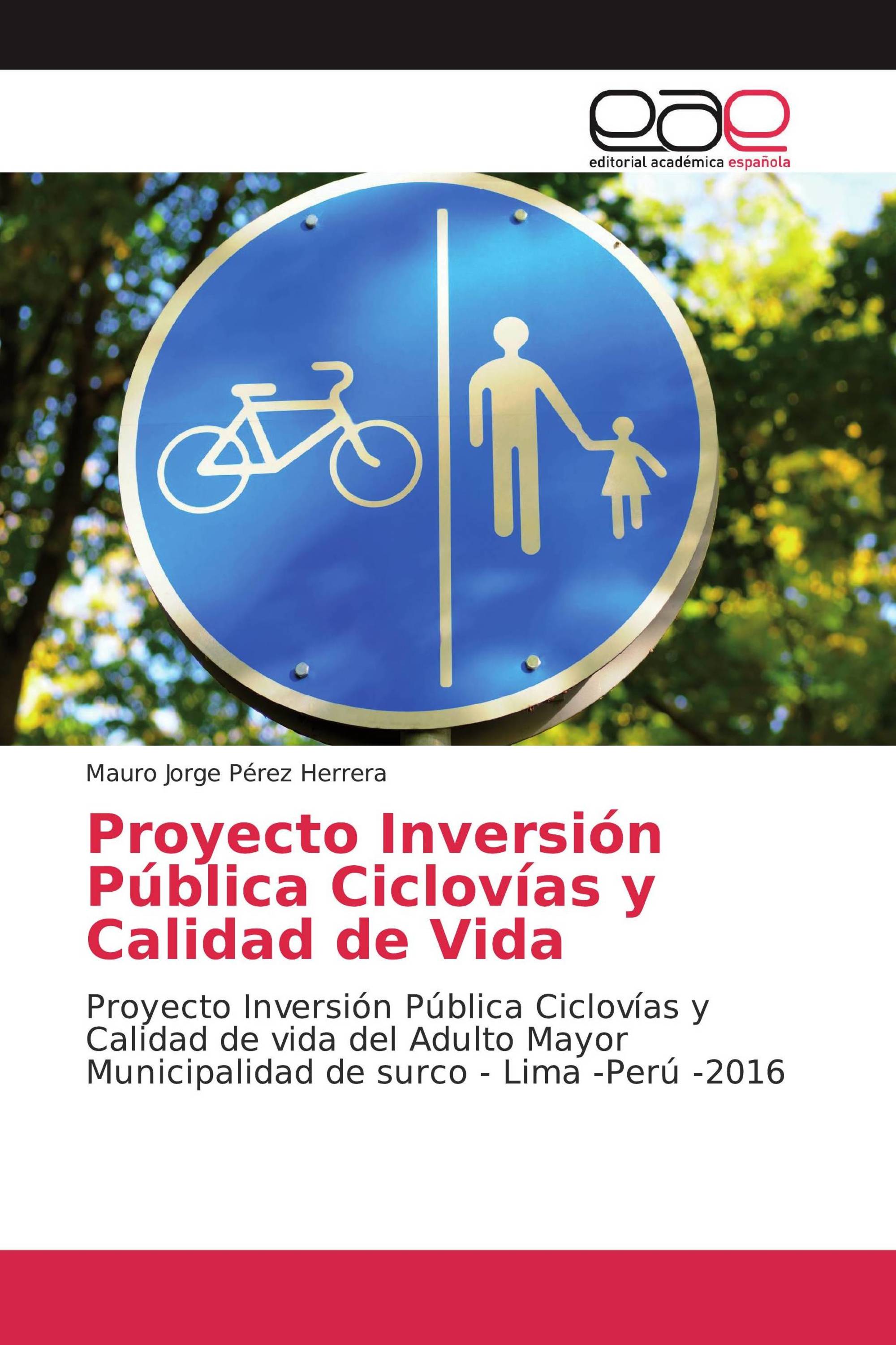 Proyecto Inversión Pública Ciclovías y Calidad de Vida