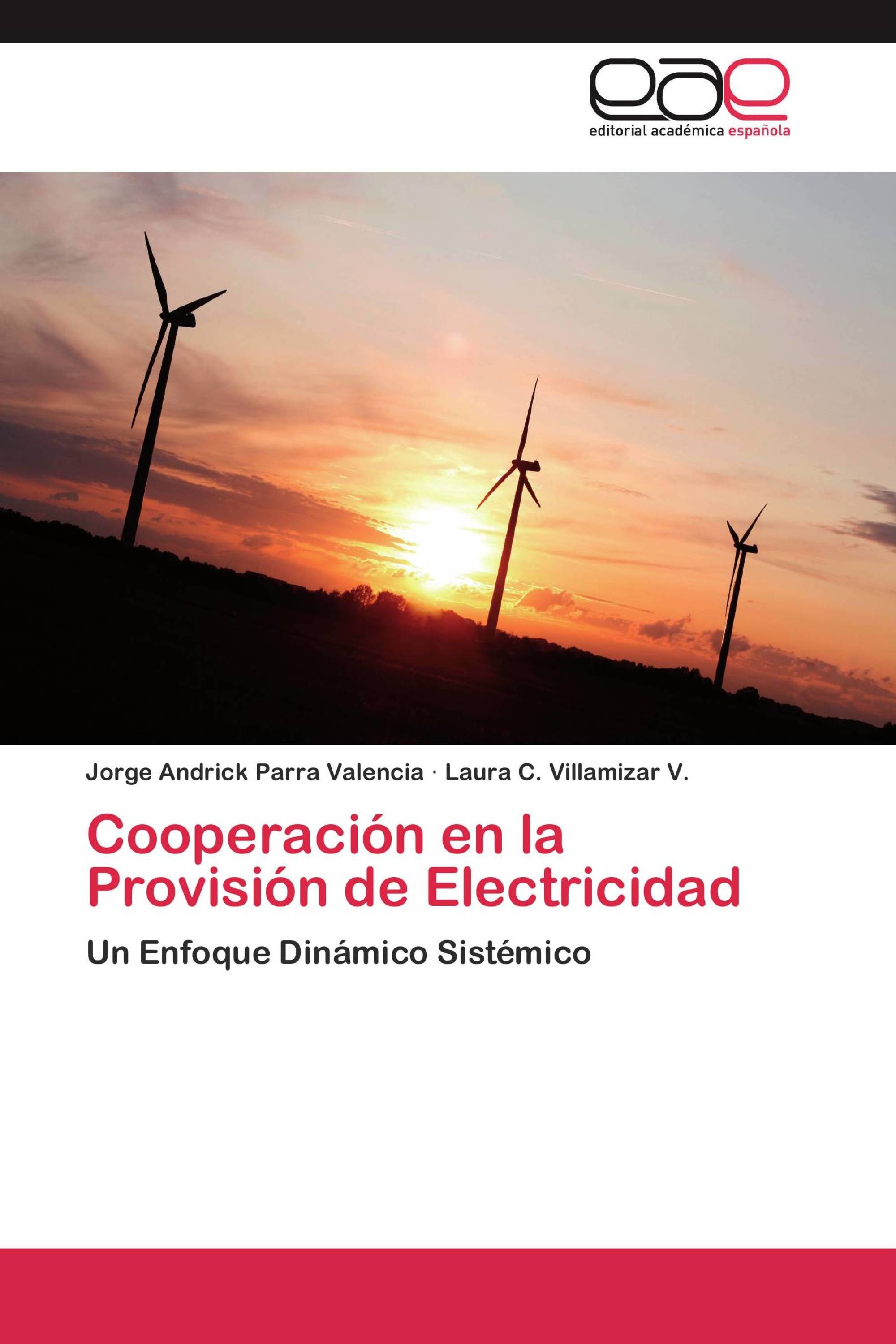 Cooperación en la Provisión de Electricidad