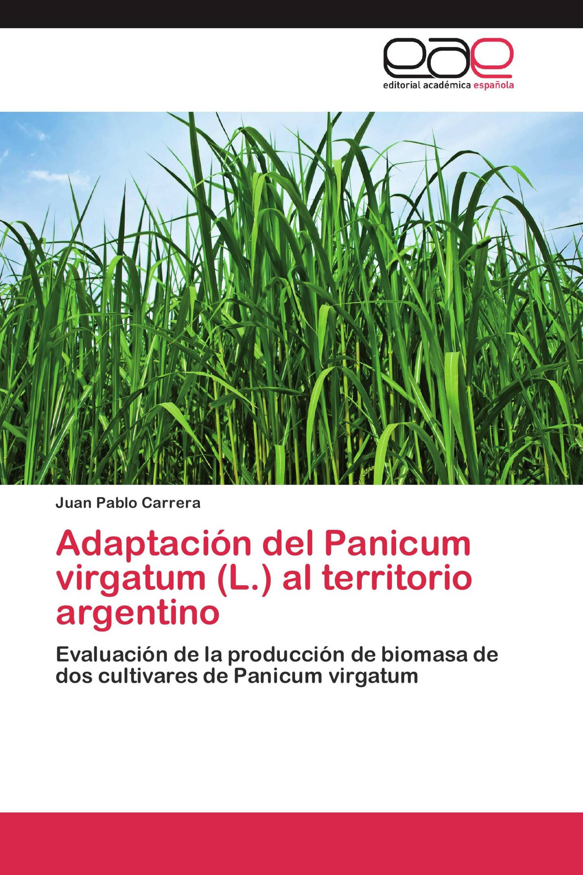 Adaptación del Panicum virgatum (L.) al territorio argentino