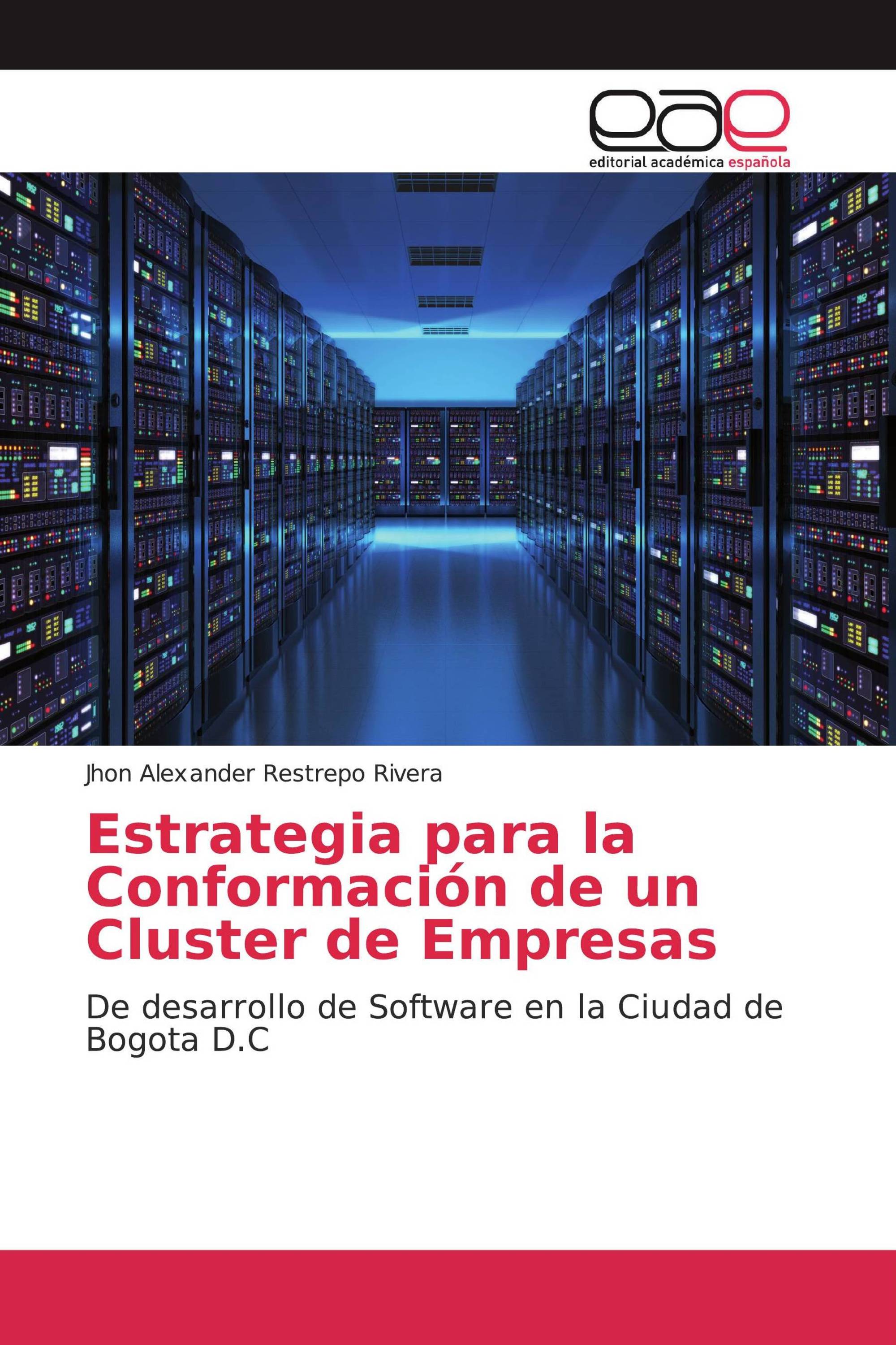 Estrategia para la Conformación de un Cluster de Empresas