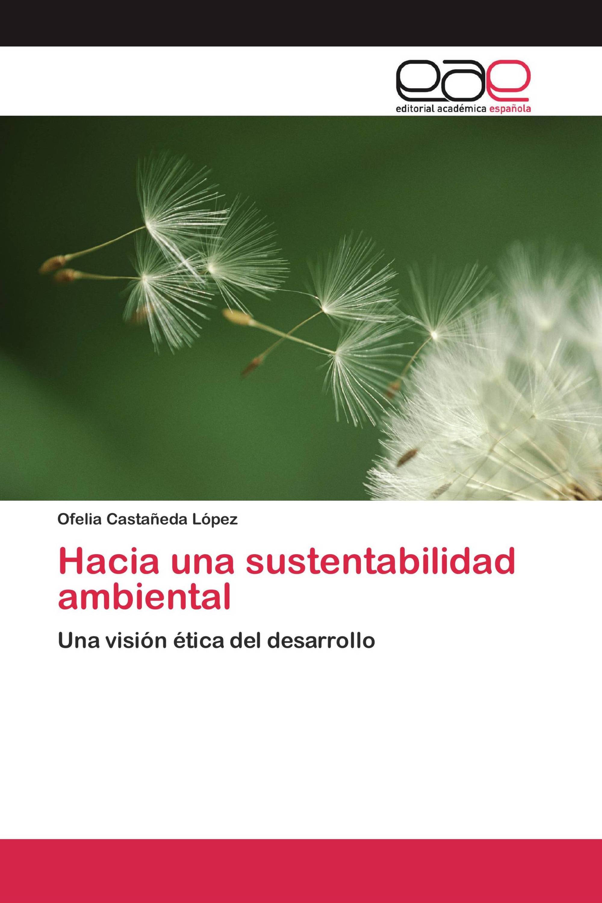 Hacia una sustentabilidad ambiental